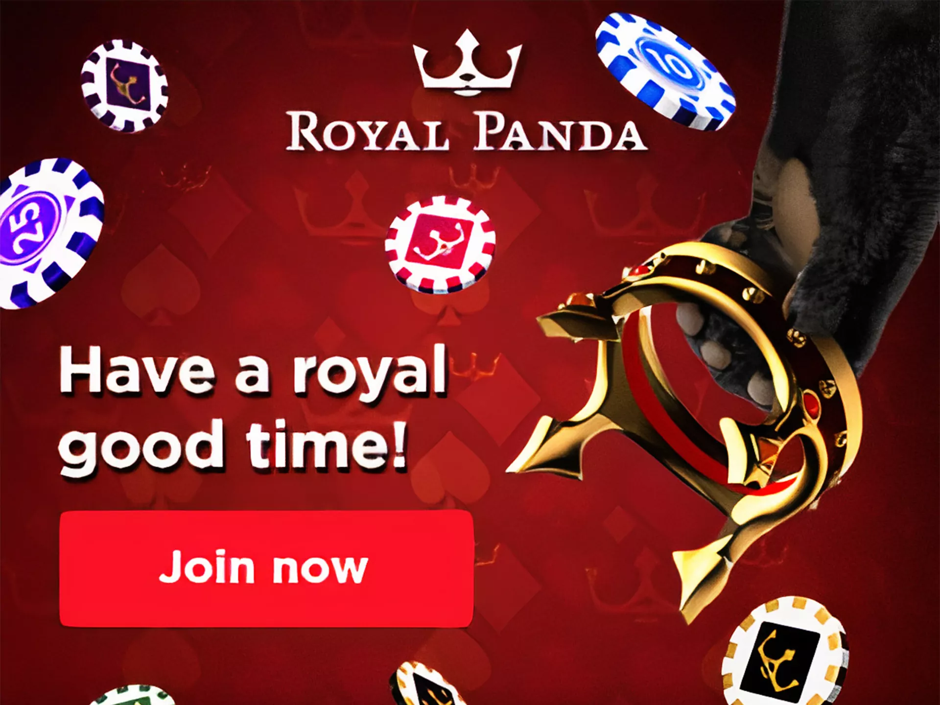 Cricket betting enthusiasts will be satisfied with Royal Panda.