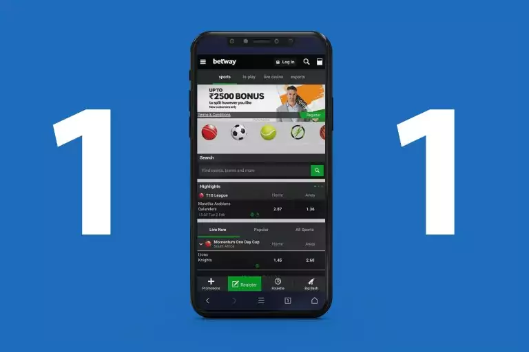 10 Facts Everyone Should Know About betting app for IPL