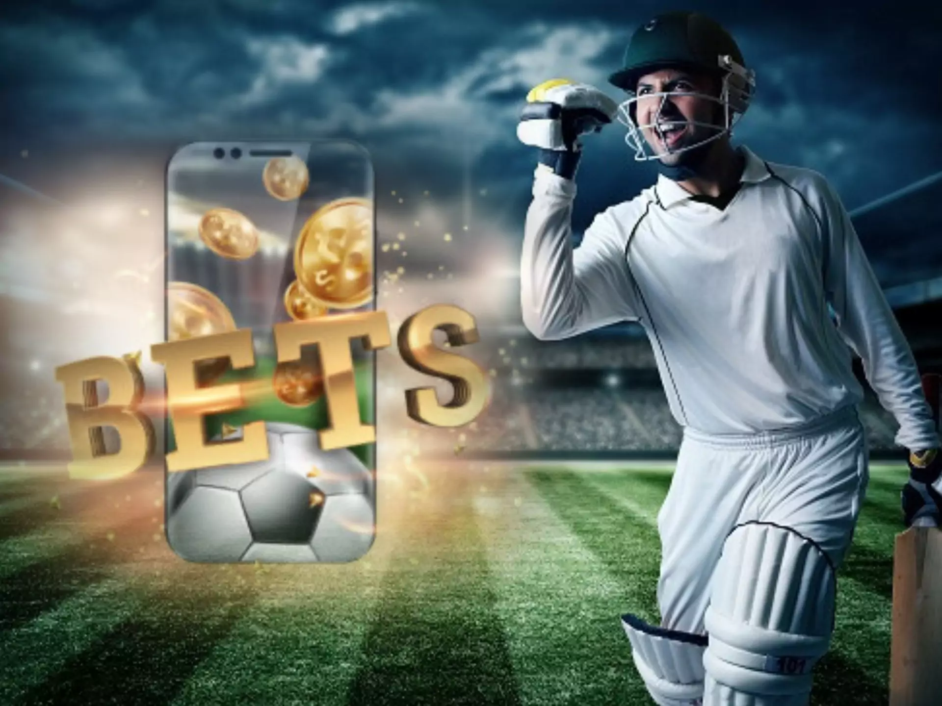Choose the best bets for you and place them on a cricket betting site.