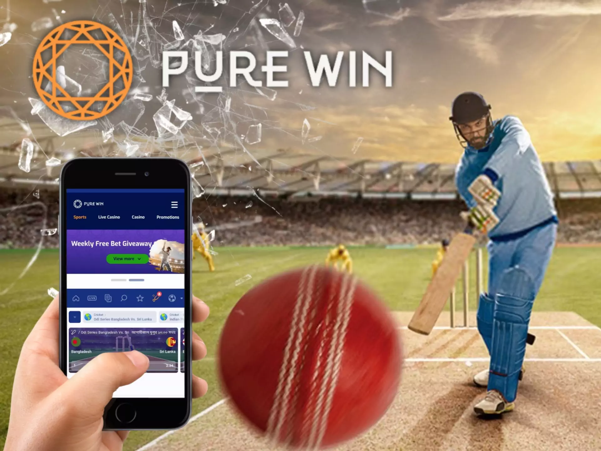 There are a lot of profitable bets on cricket ar Pure Win.