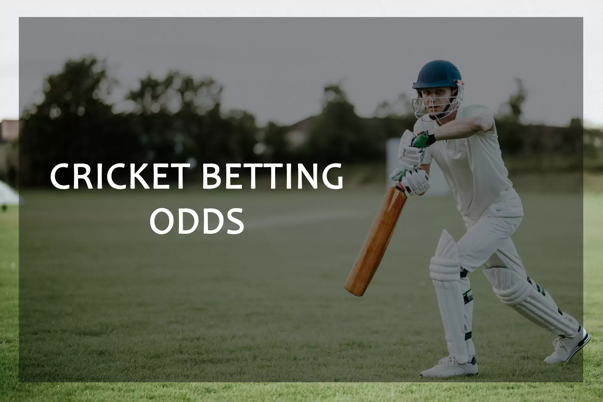 Study the odds for betting on cricket.