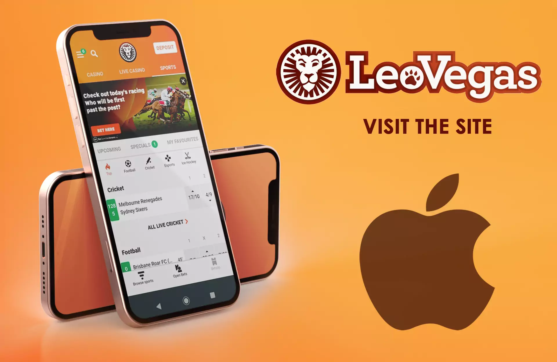 Open the homepage of LeoVegas in your mobile browser.