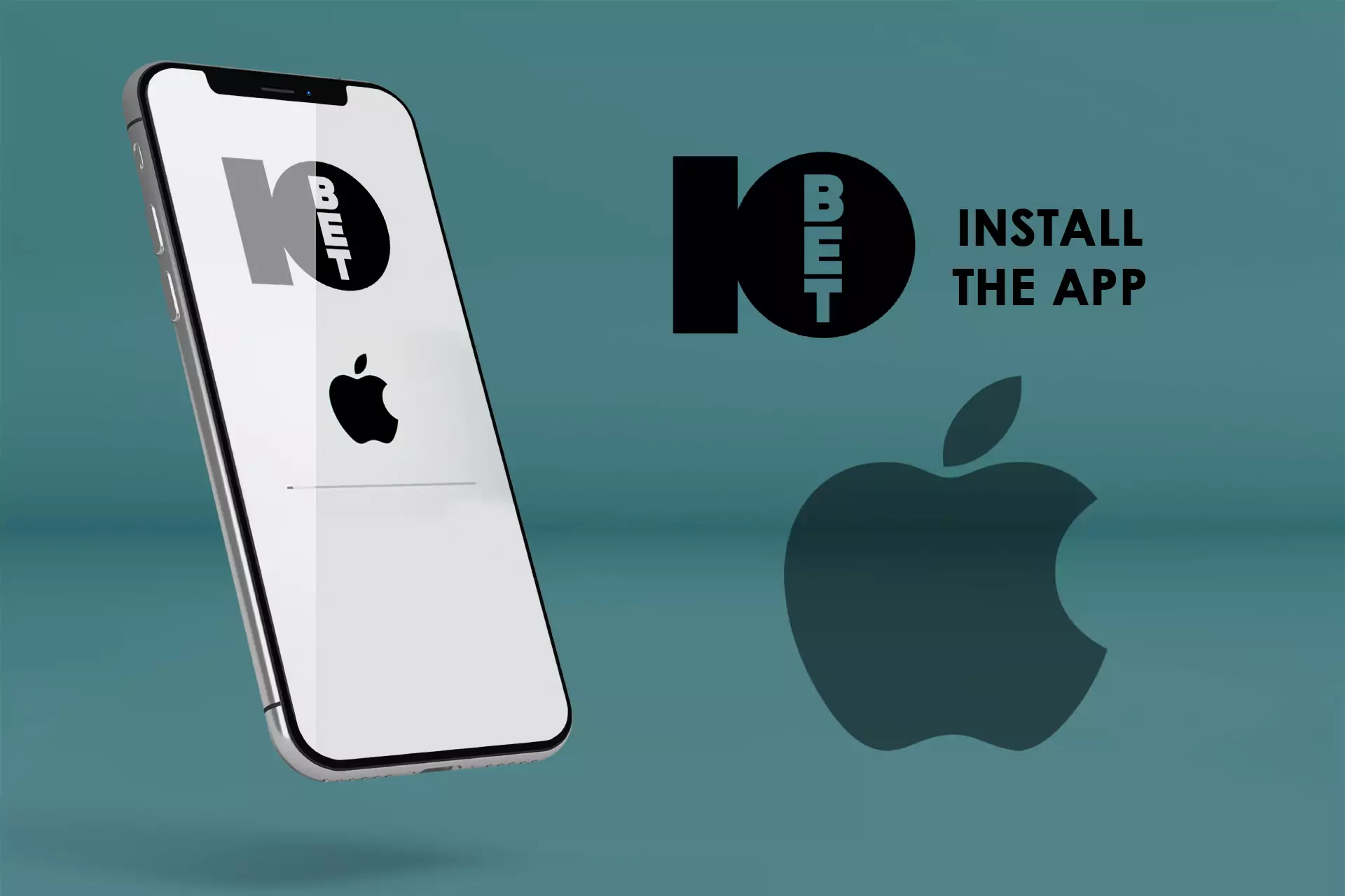 Install the application from the App Store.