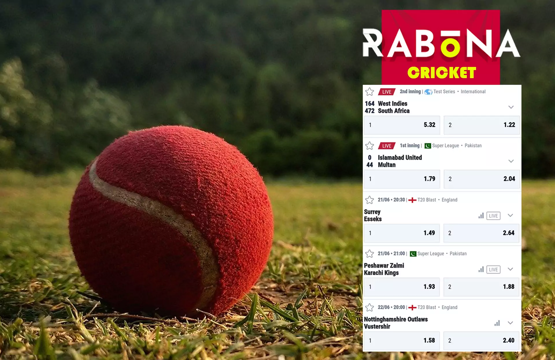 Cricket fans can place bets on their favorite teams.