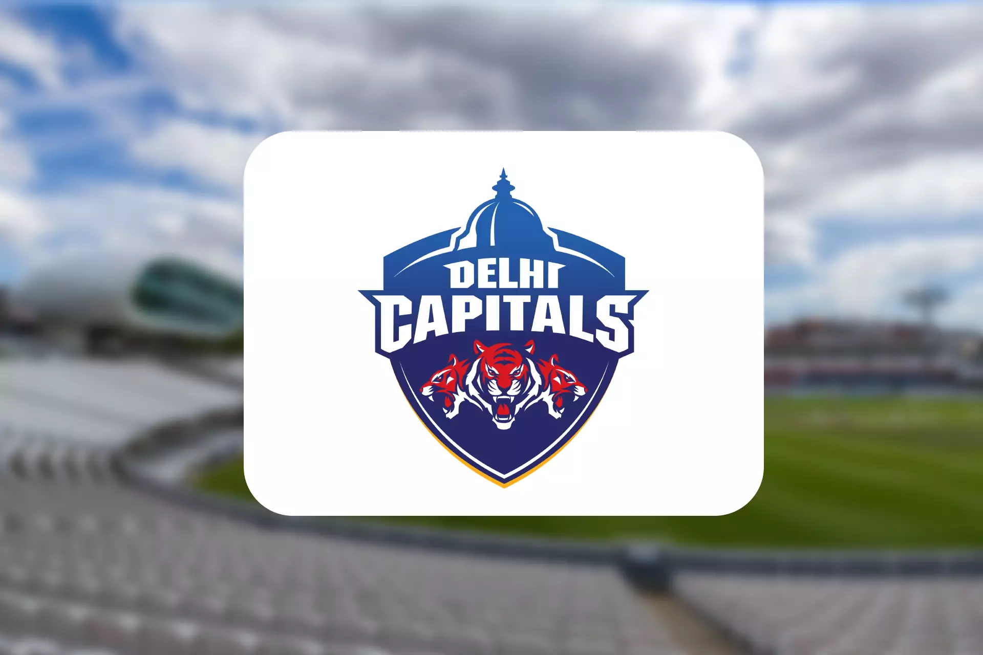 Delhi Capitals is one of the strongest teams this year.