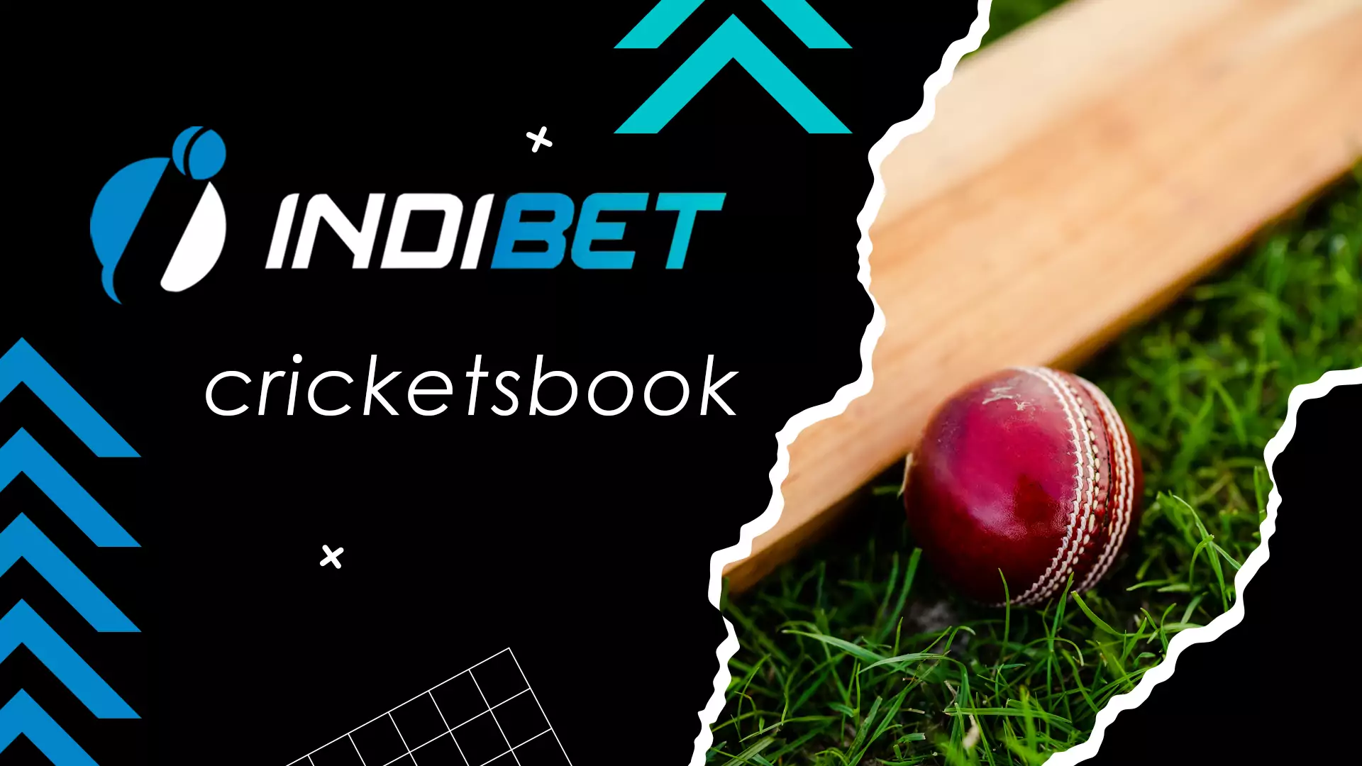 Cricket is so popular among Indibet users that the bookmaker office made the cricketbook section.