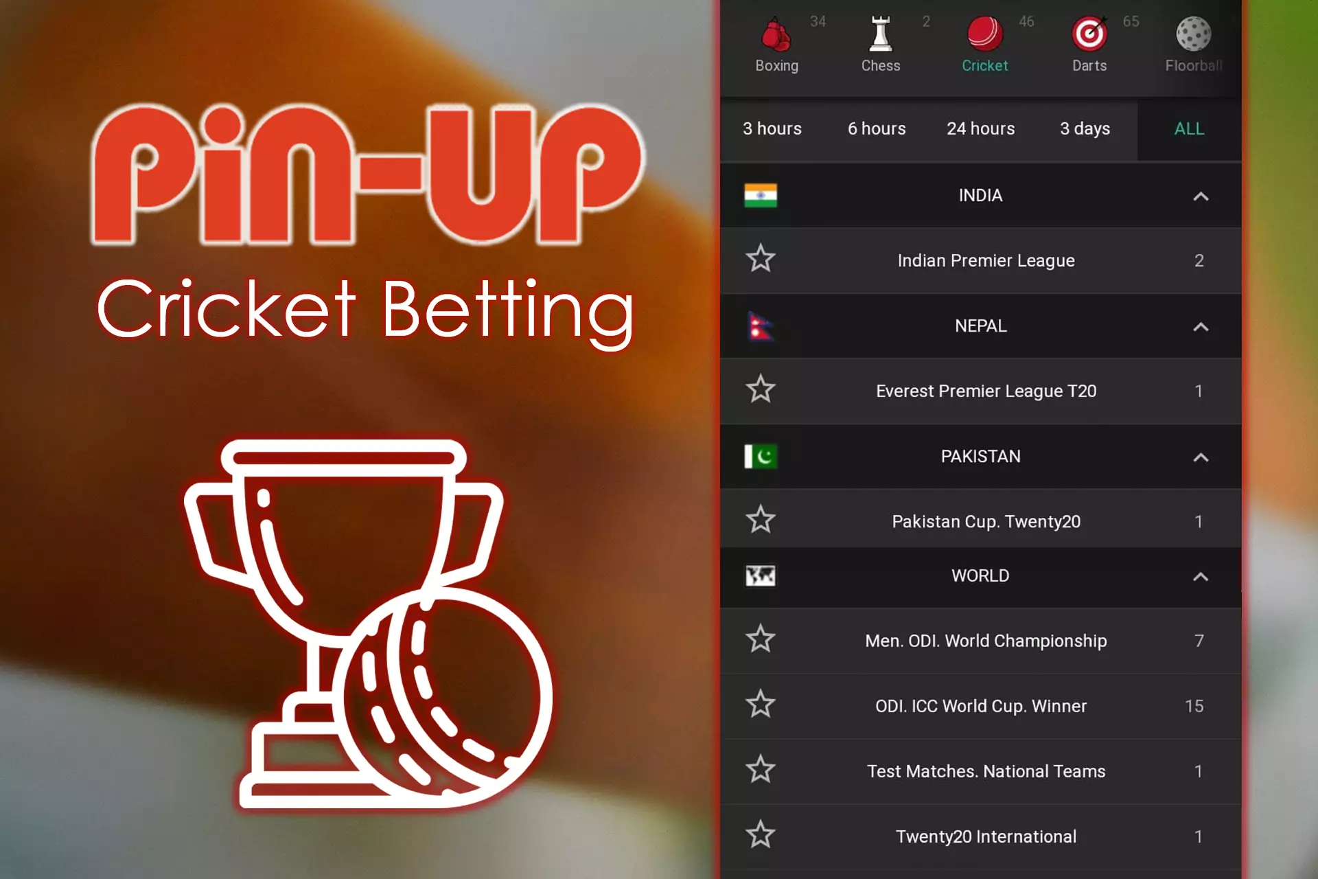 The cricket section is also available for betting in the Pin-Up app.