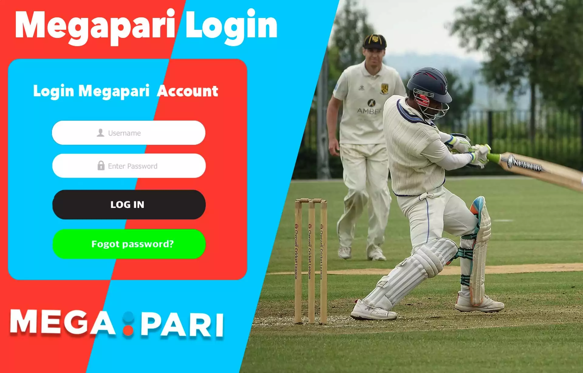 After registering, you can log in in your Megapari account.