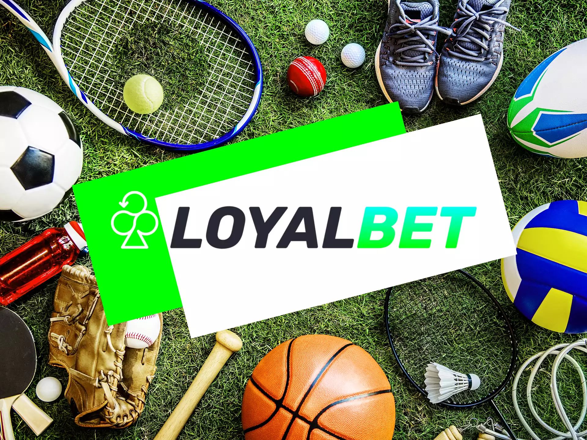 At Loyalbet you can bet on various sports.