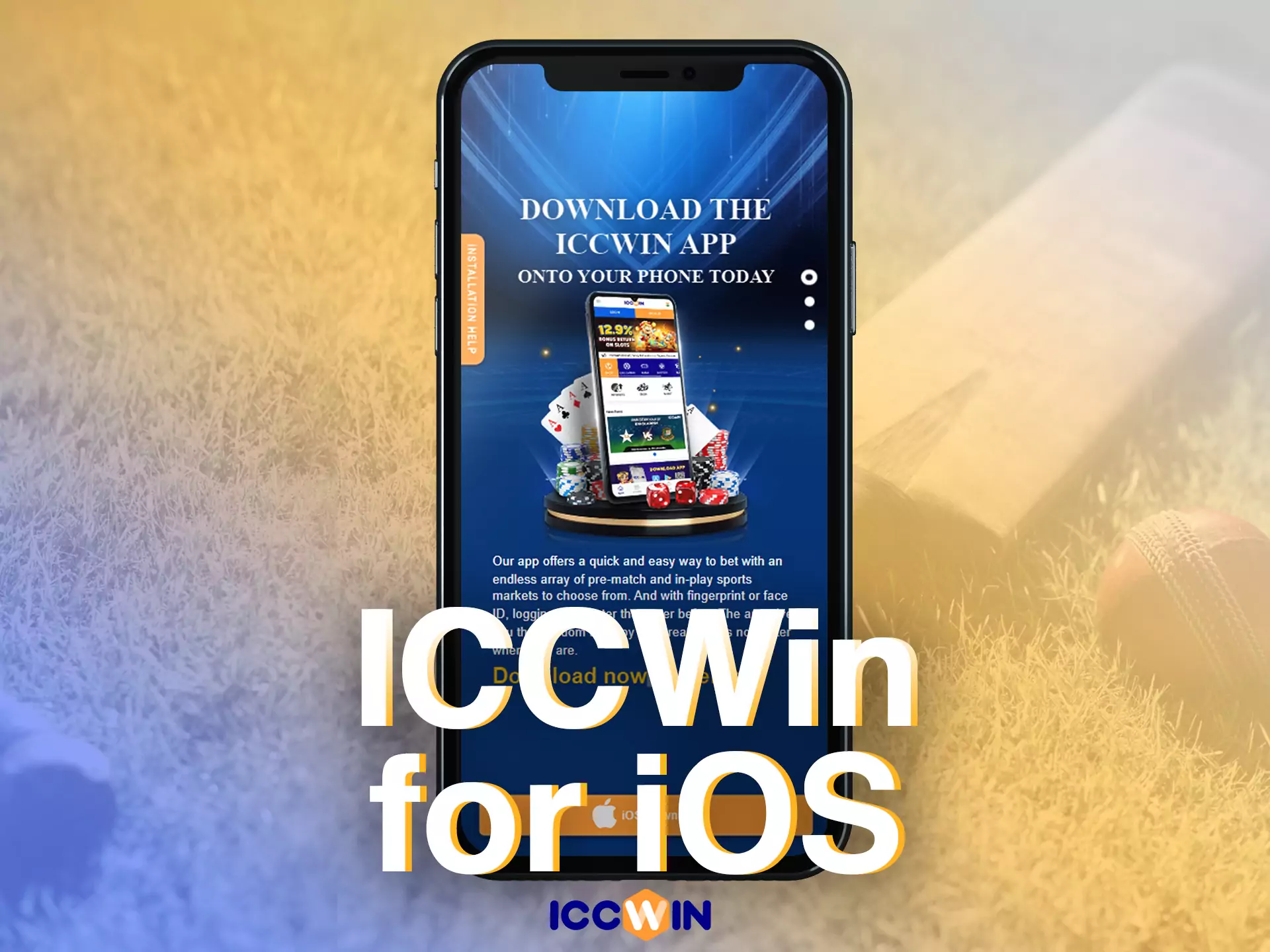 Use the ICCWin mobile website for iPhones and other devices based on iOS.