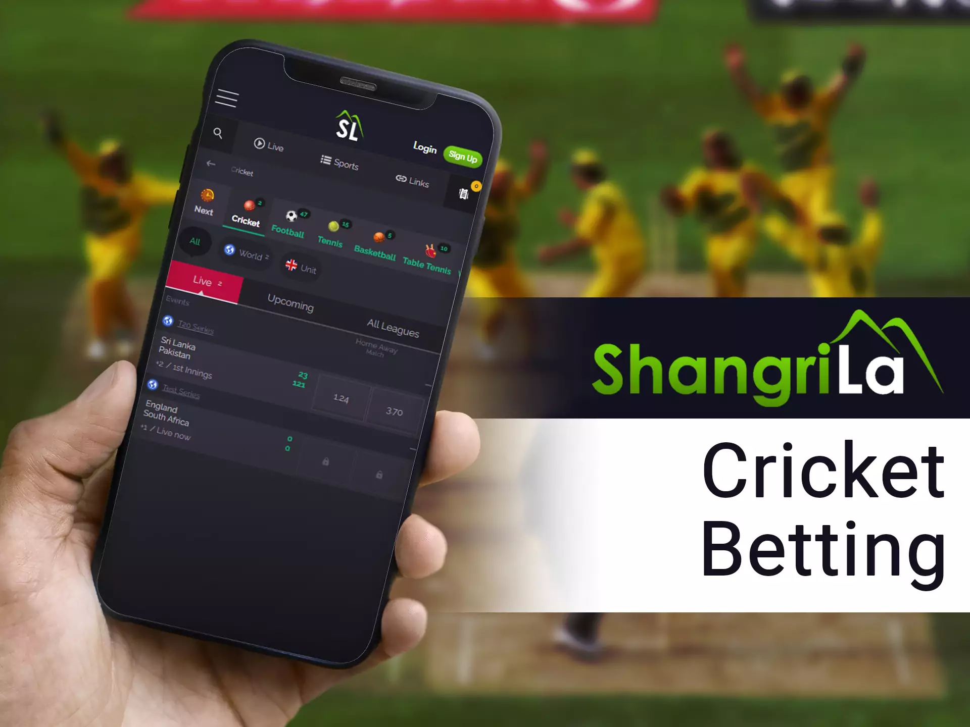 Watch and bet on best cricket matches in Shangri La app.