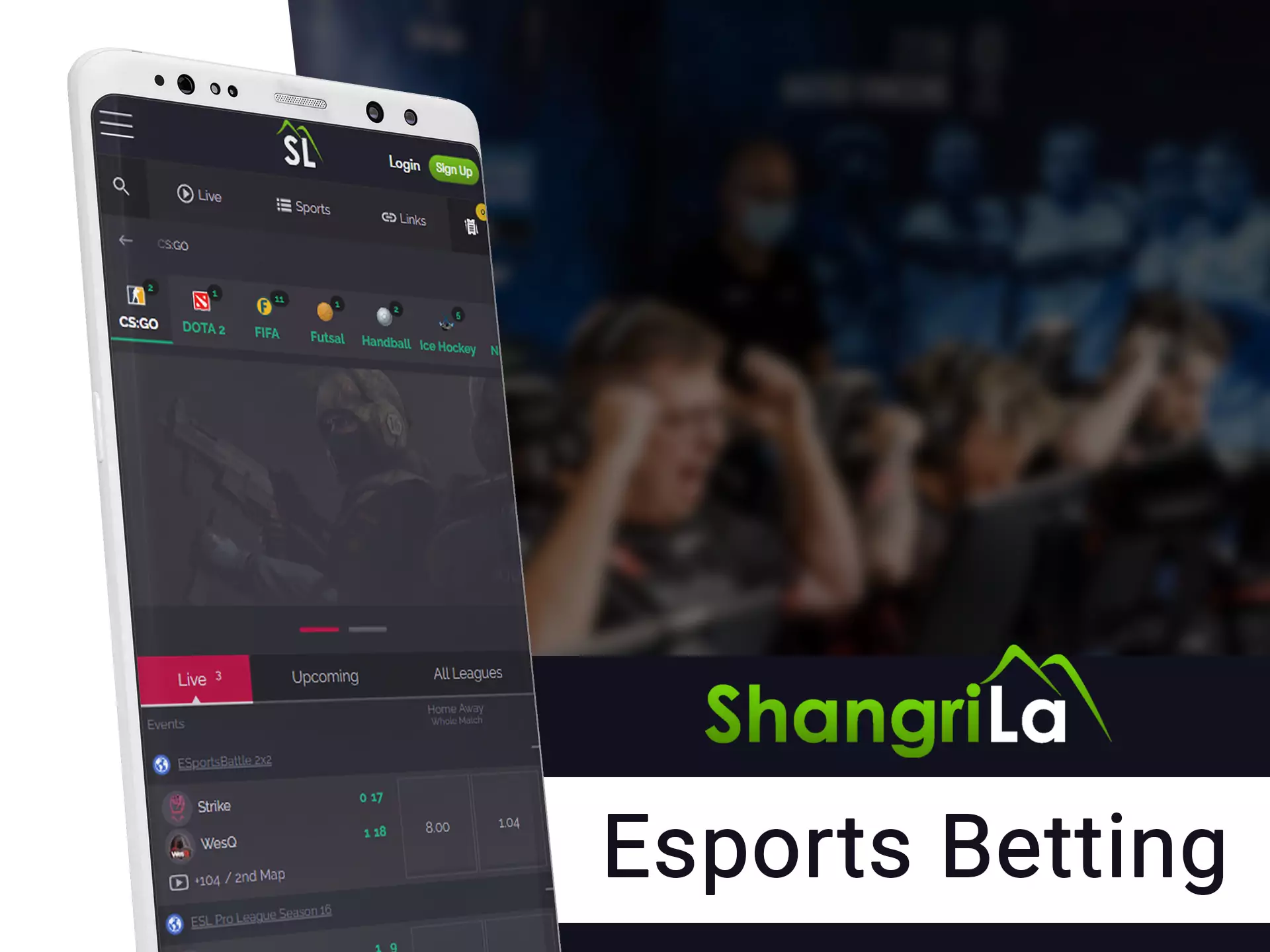 Win big money prizes after betting on esports.