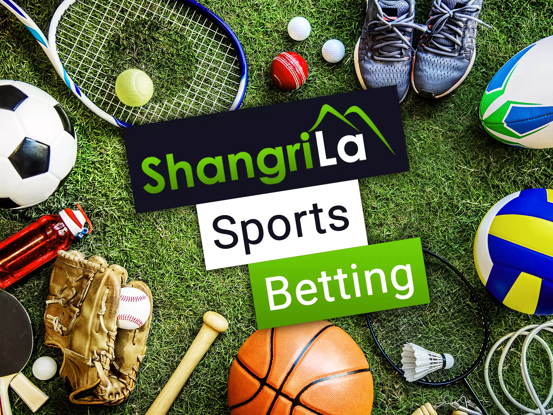 Choose on which of Shangri La sports you want to bet on.