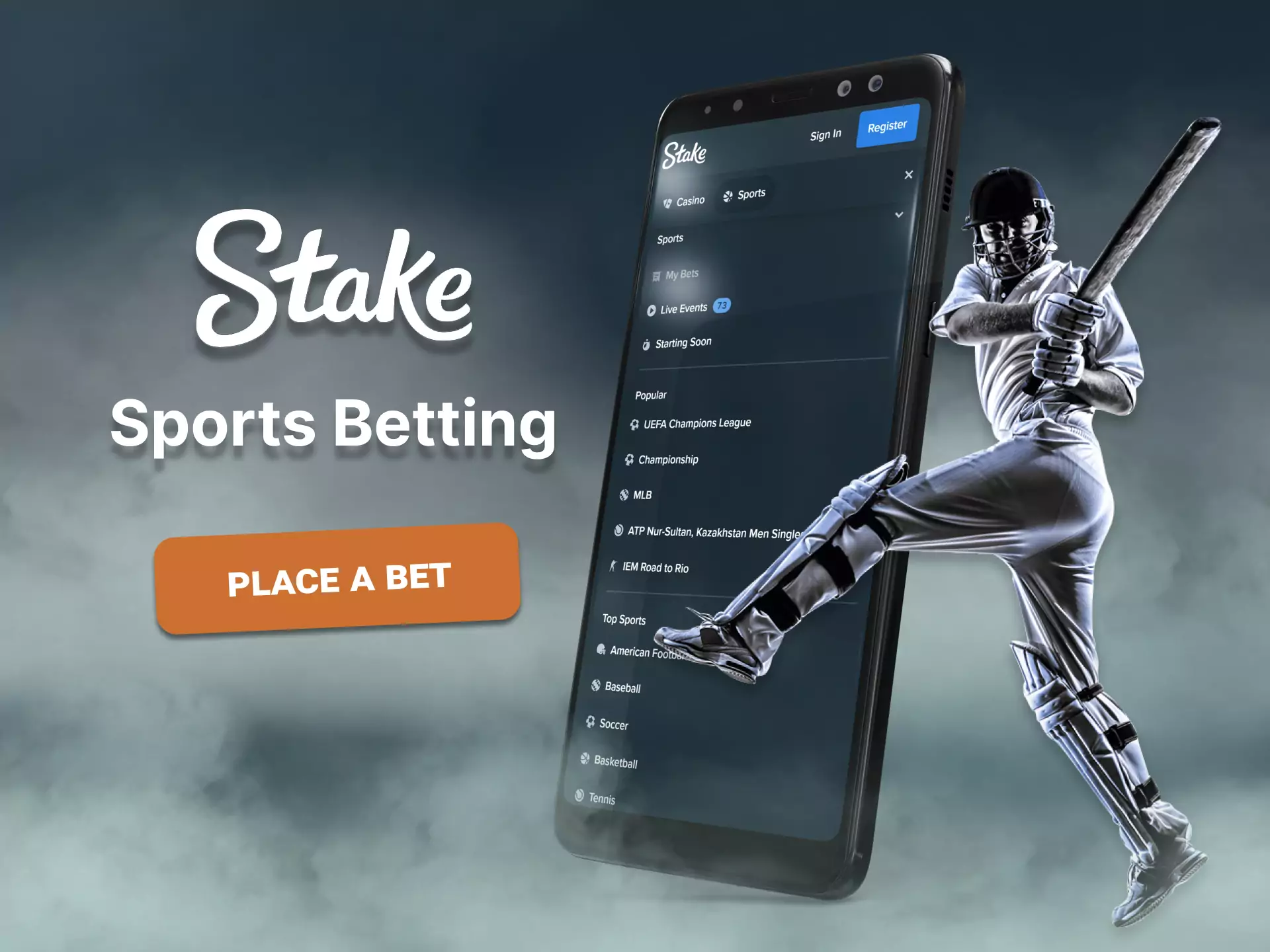 In Stake.com place bets on different sports.