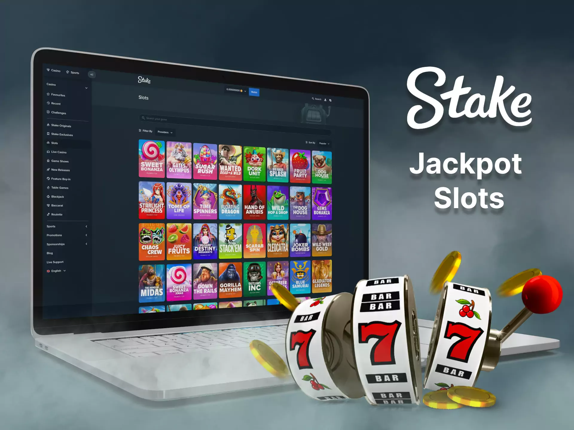 Play the colourful slot machines online on the Stake site.