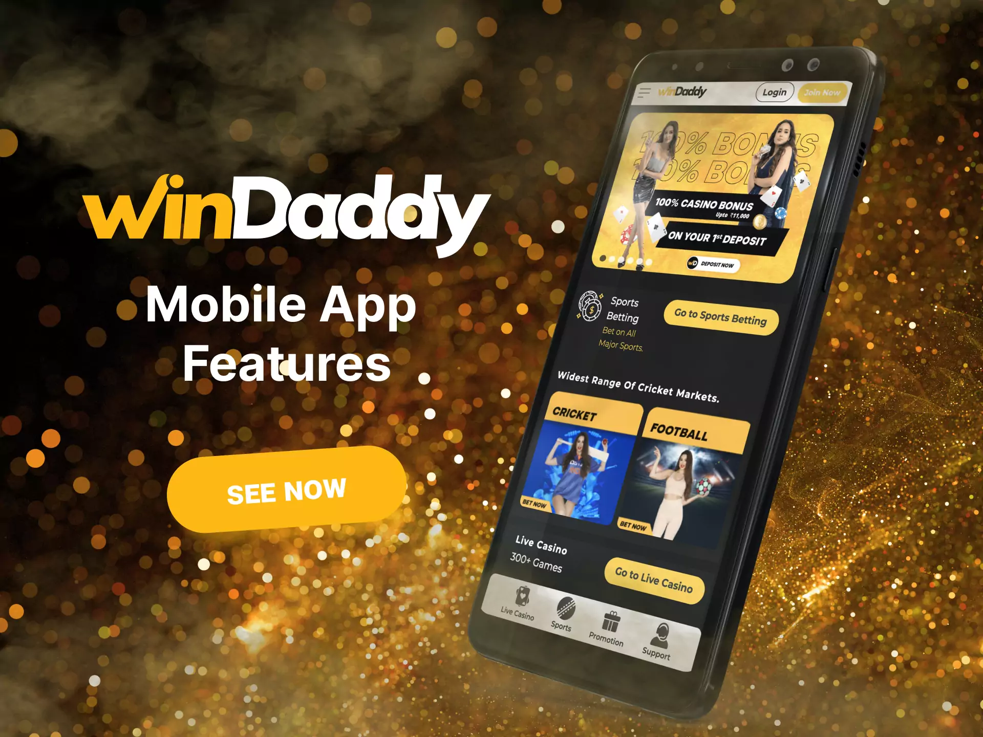 Windaddy is a reliable site that offers many games and benefits to the user.
