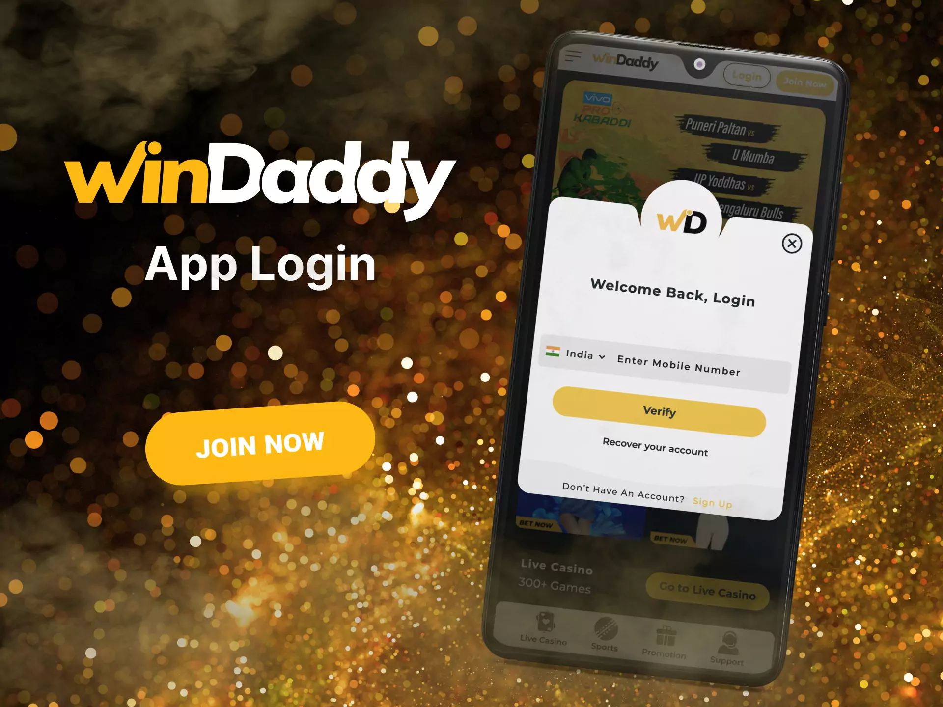 Logging into Windaddy is simple and convenient.