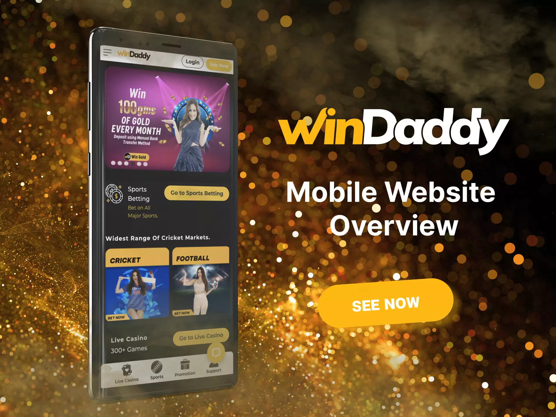 Use Windaddy's simple interface to enjoy the game more.