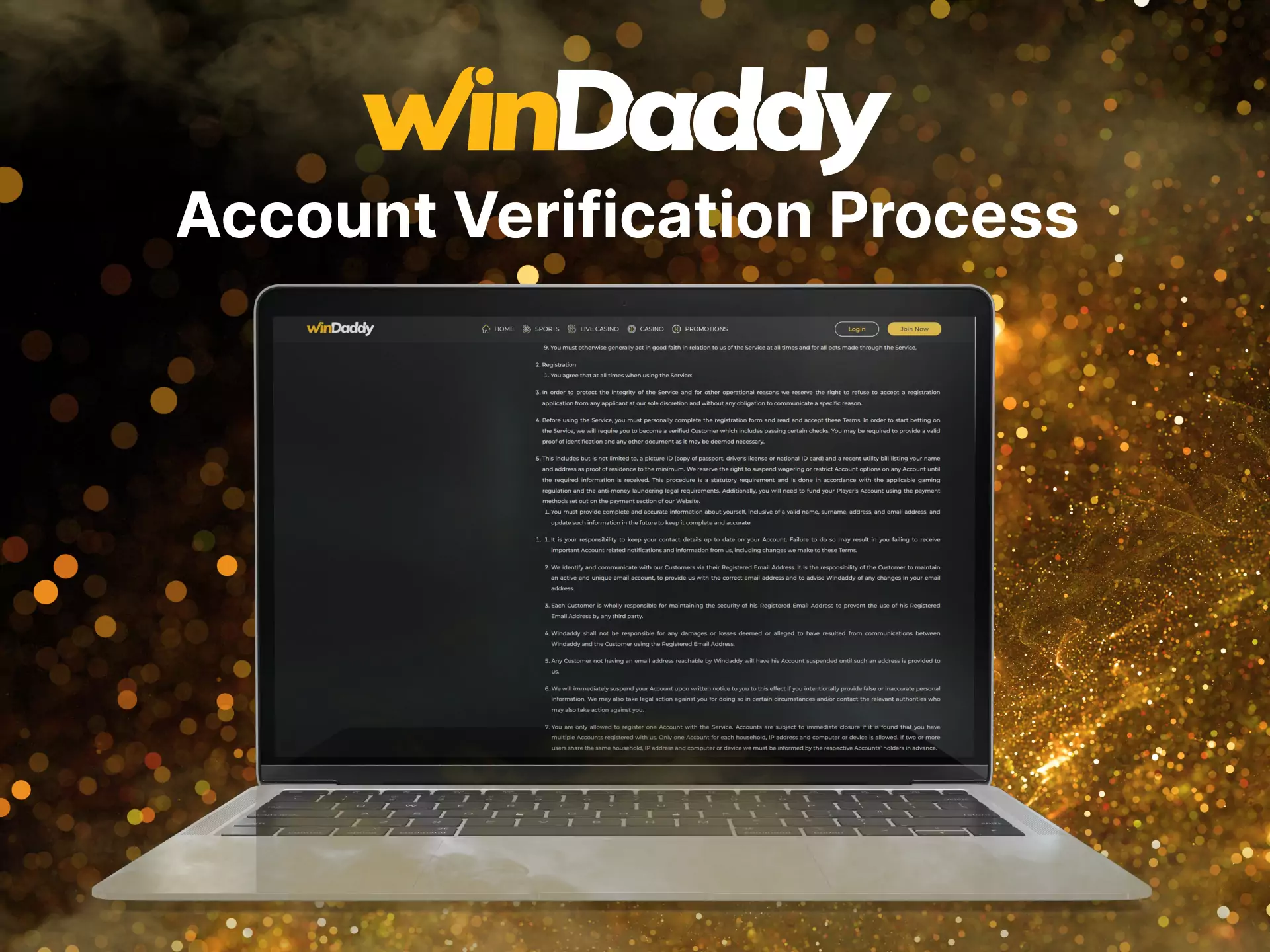 Use this instruction to verify your identity on the Windaddy website.