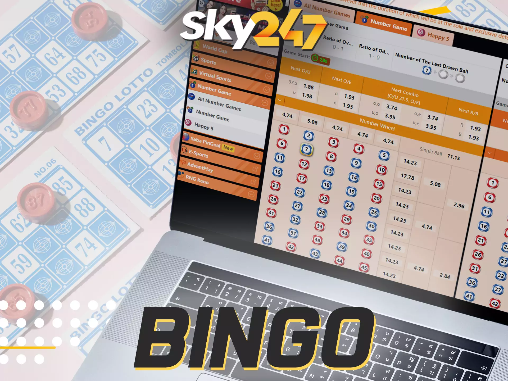Besides betting and casino, you can play bingo games on Sky247.