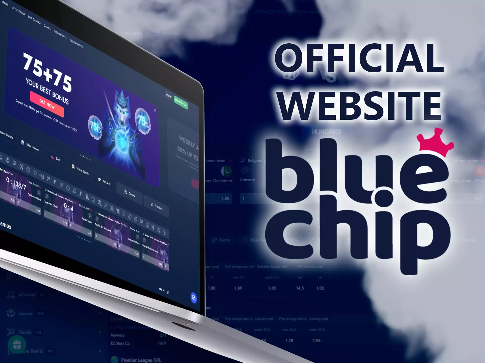 The official website of Bluechip works great on any device.