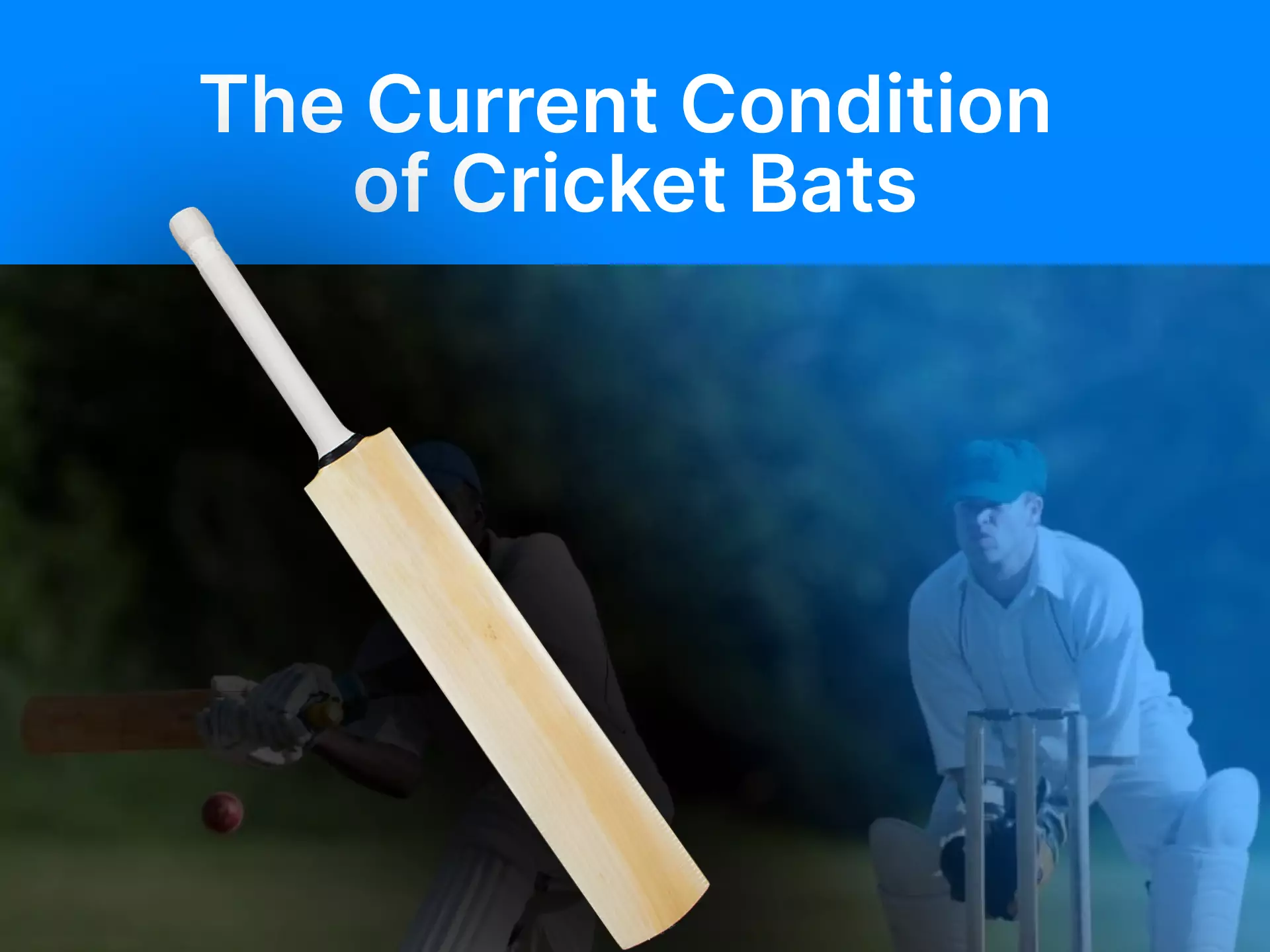In this material you will learn what a cricket bat looks for nowadays.