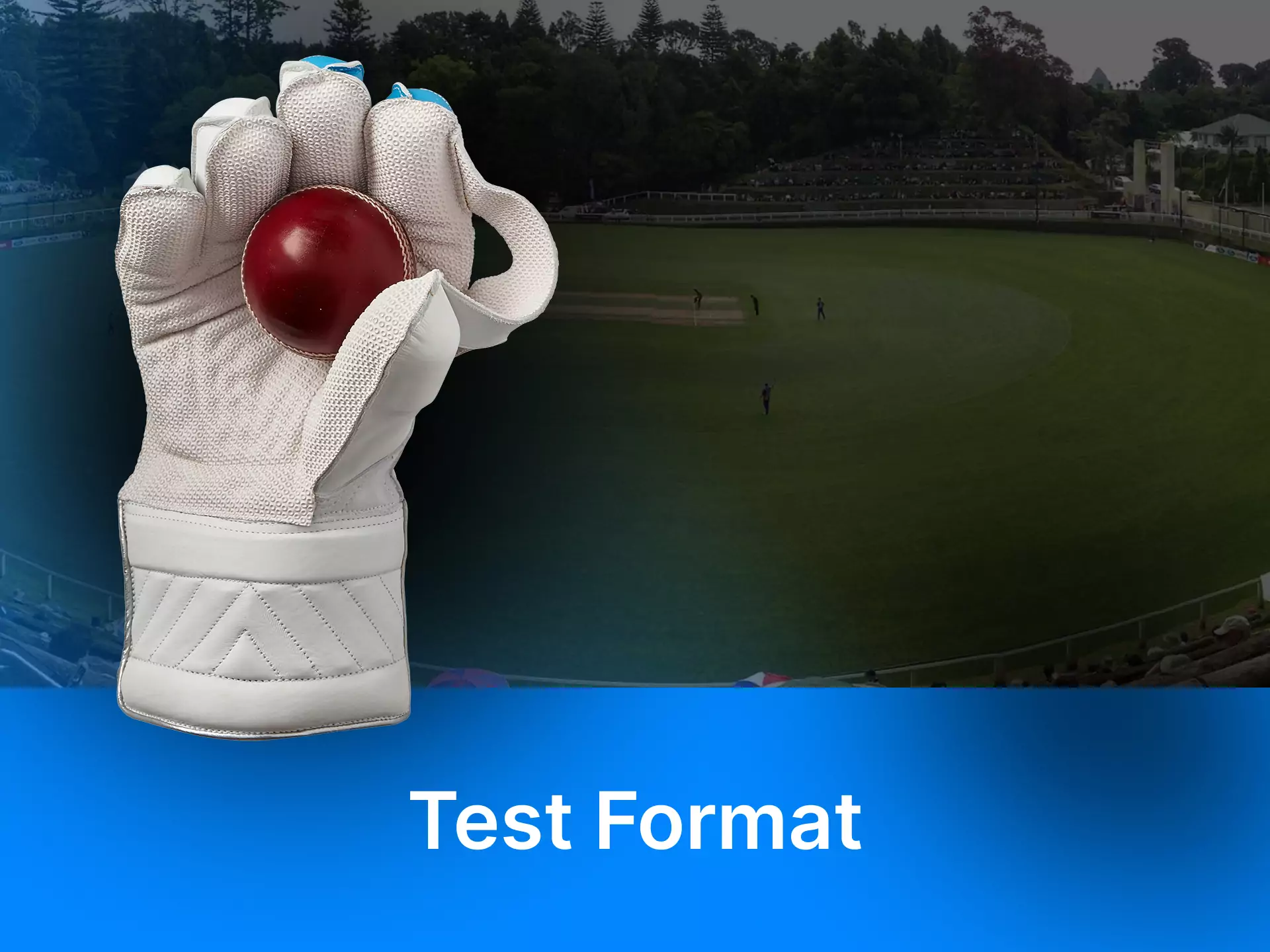 Read on and find out what the test format is.