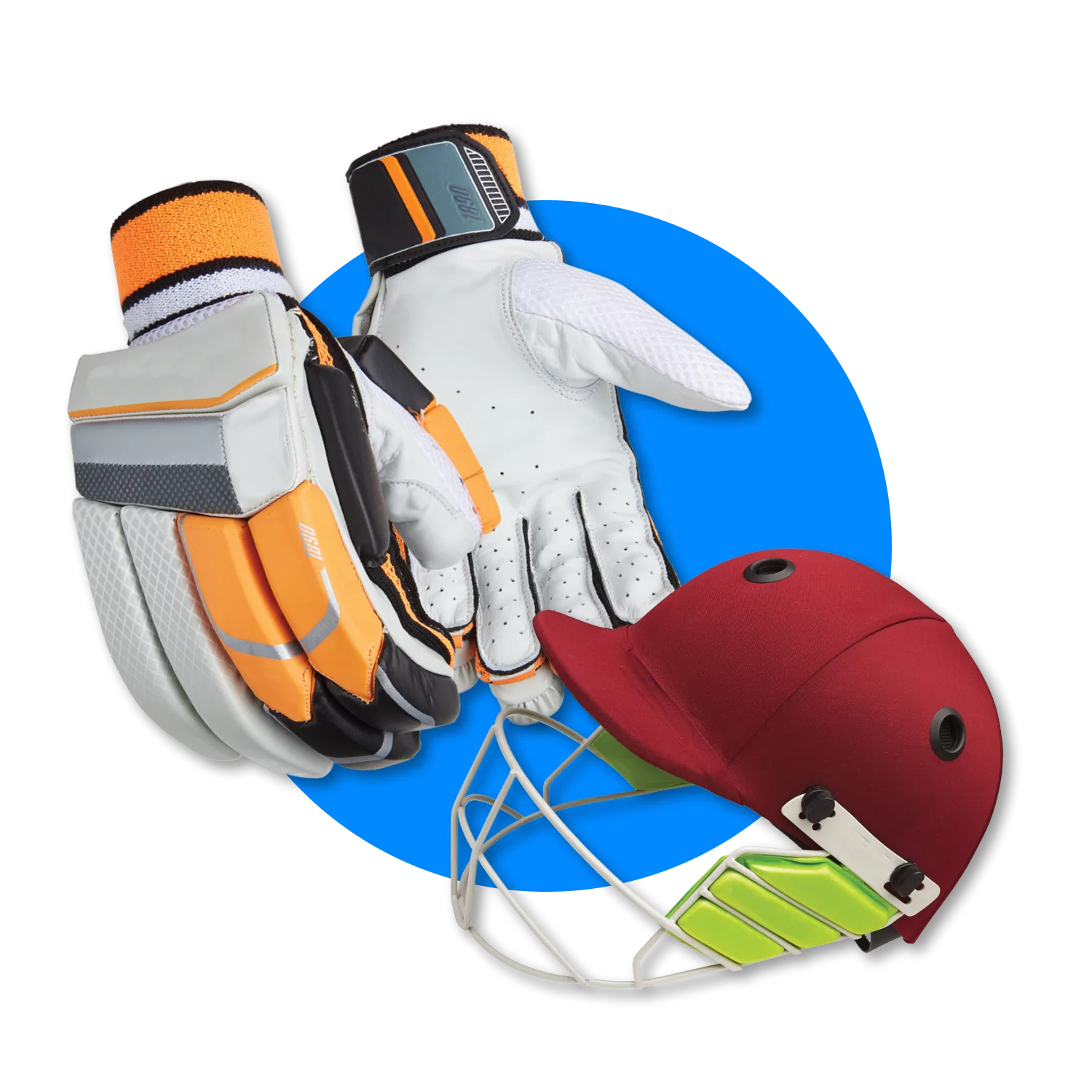 Learn about the equipment for playing cricket.