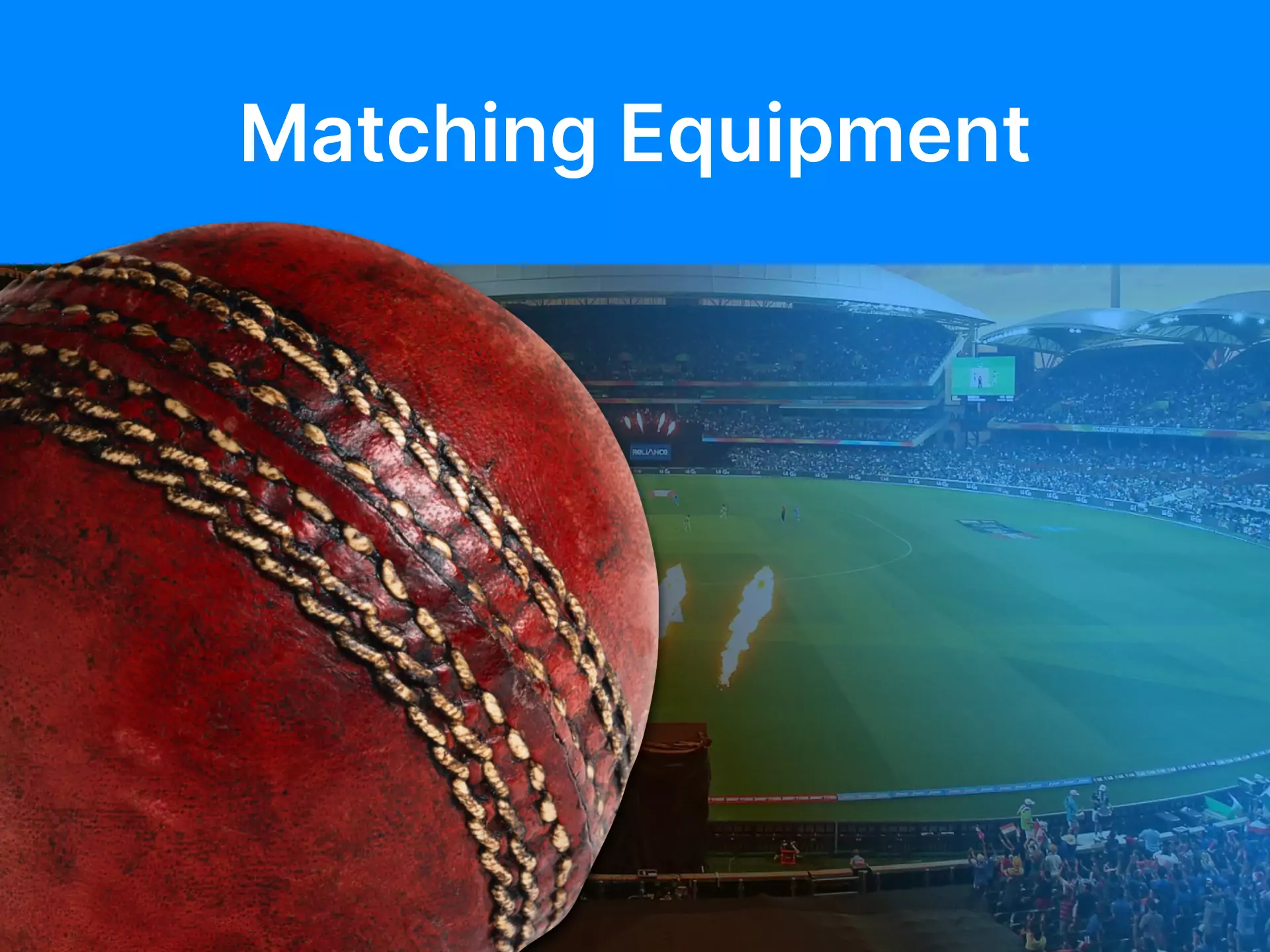Find out what equipment is always worn during cricket matches.
