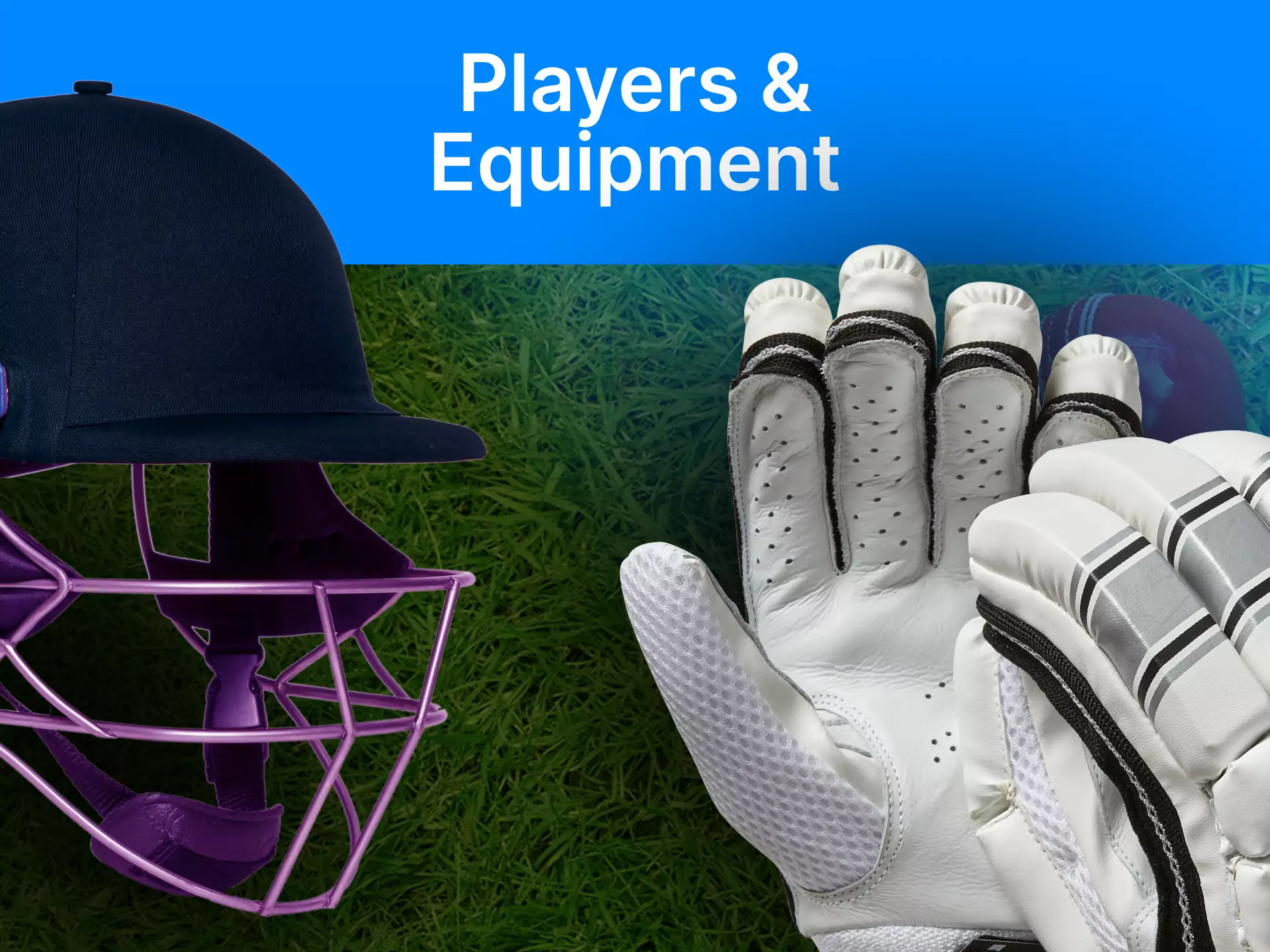 Learn more about cricket players and their equipment.
