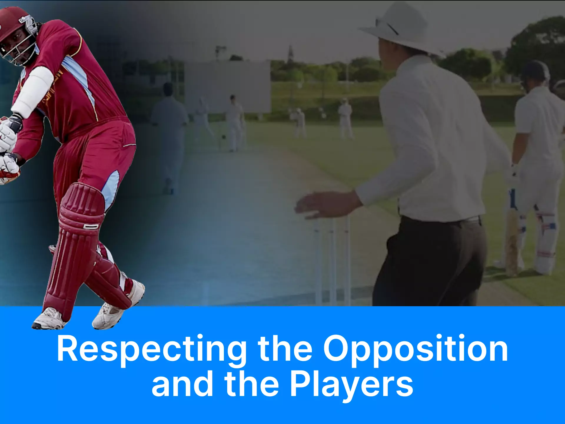 Learn what is consider polite in cricket and how to behave toward partners and opponents in the game.