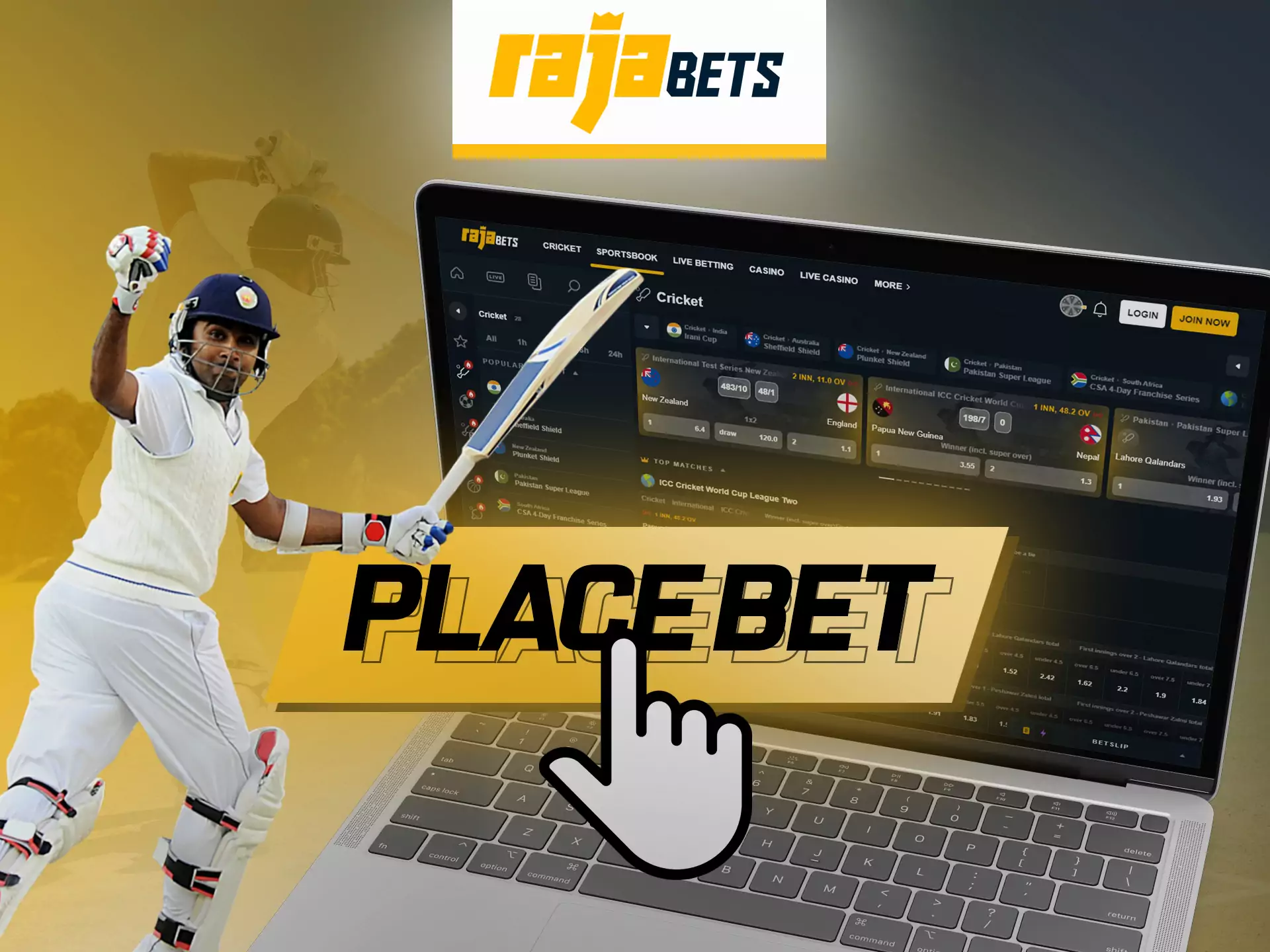 With these instructions, learn how easy it is for you to bet on Rajabets.