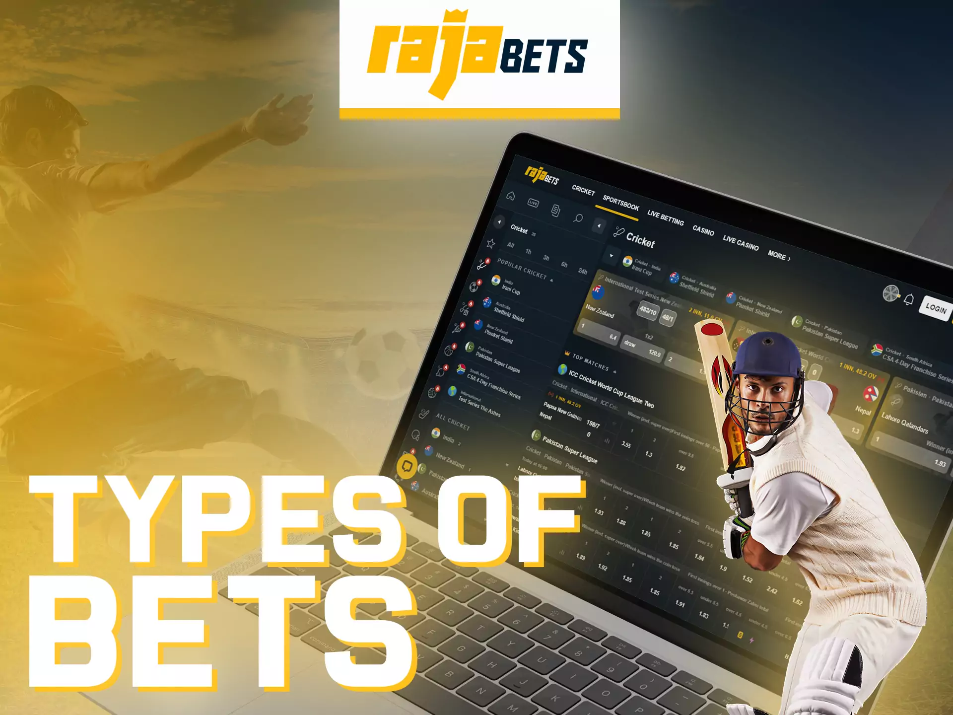 Try different types of bets when you play on Rajabets.