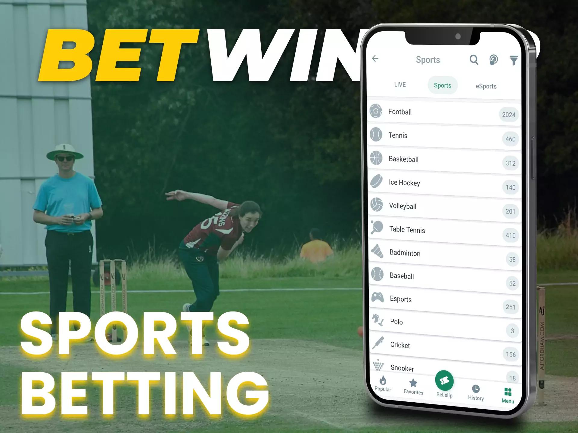 With the Betwinner app you can bet on all kinds of sports.