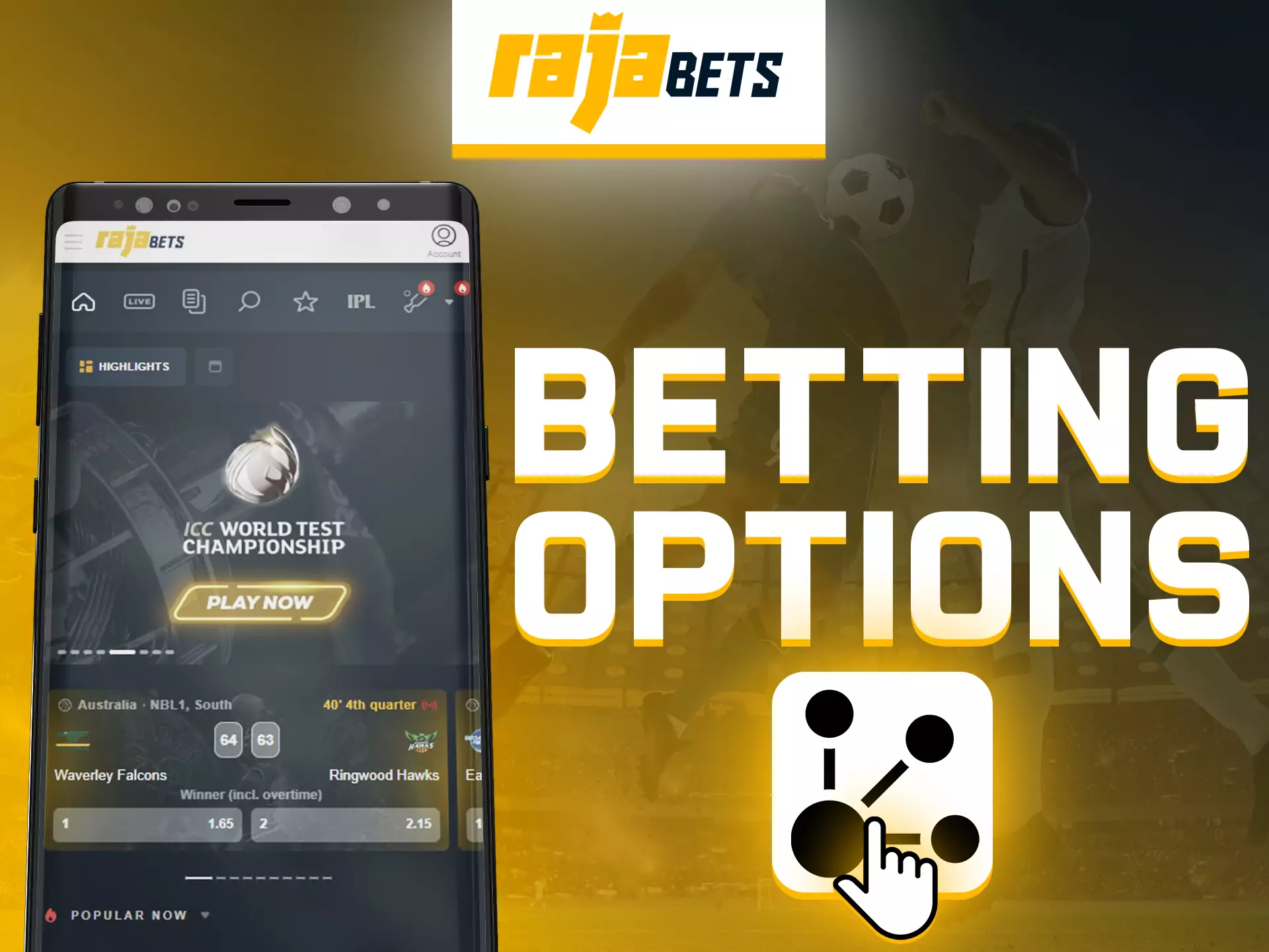 Rajabets app gives you a variety of options for betting on sports.