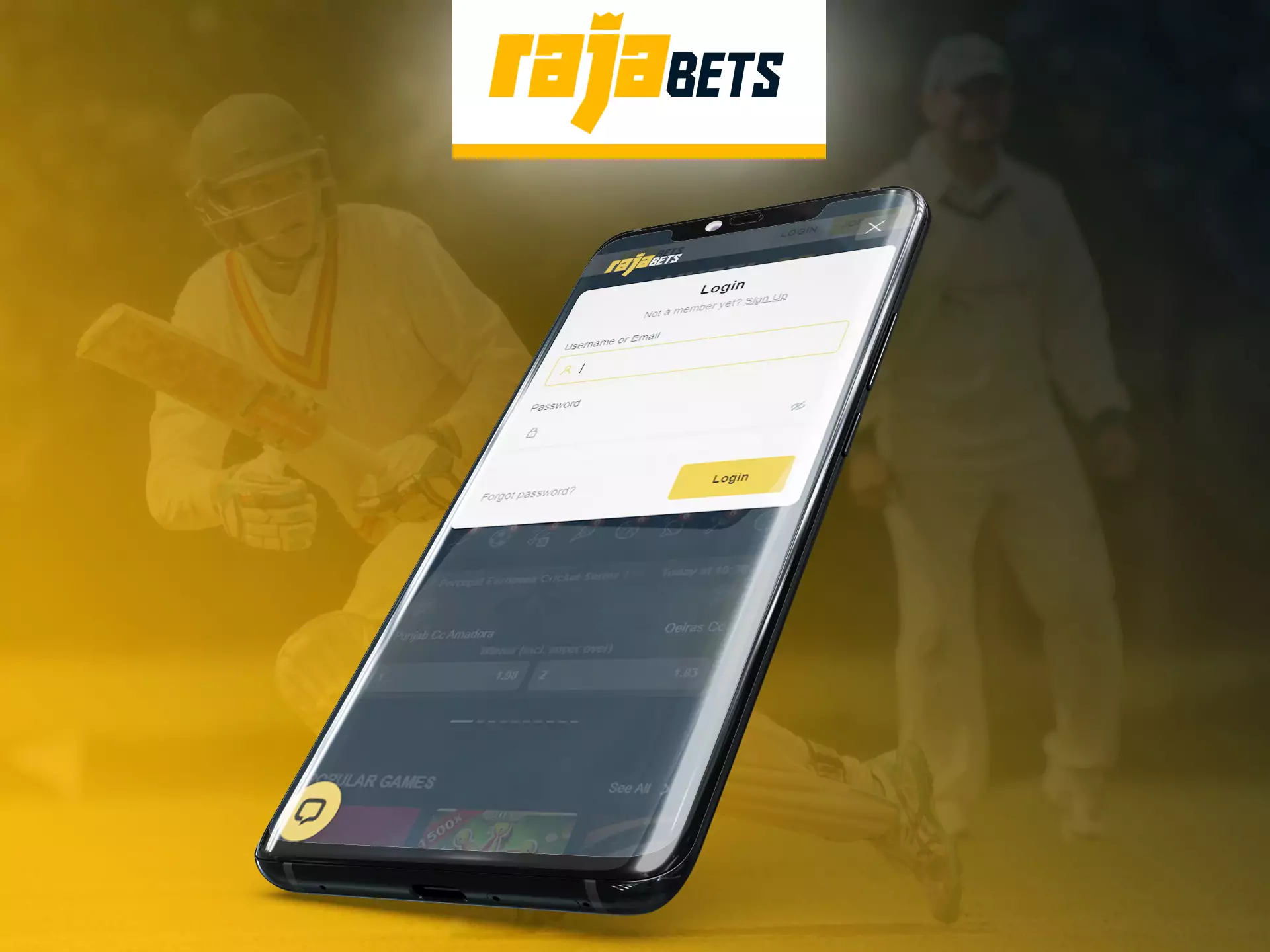 On Rajabets app, log in to your account to use all the features and bonuses.