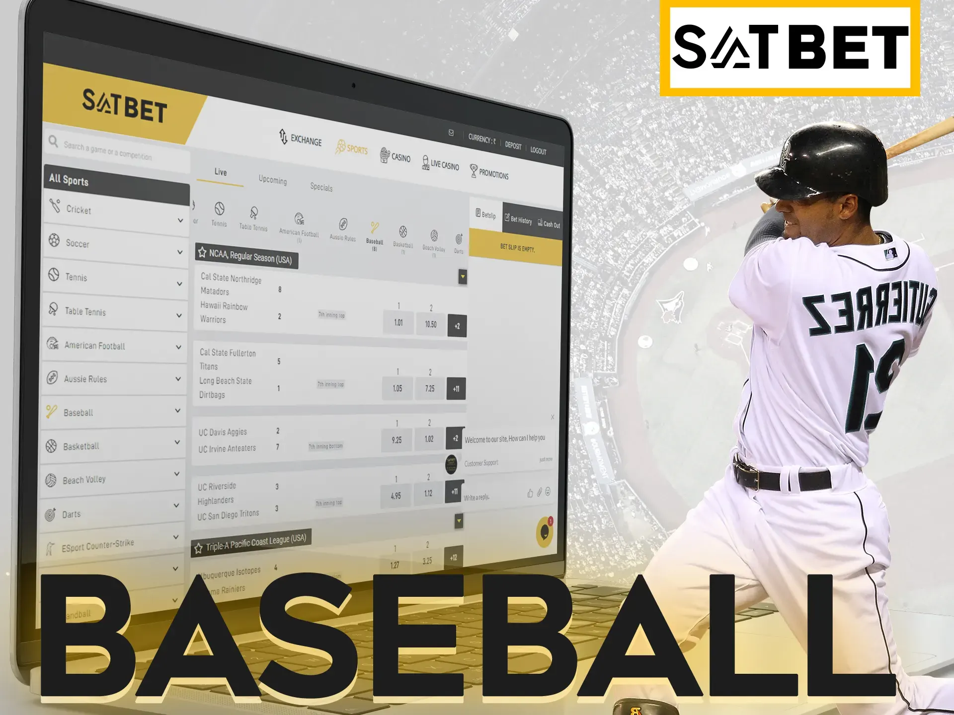 Entertain yourself by betting on baseball matches at Satbet.