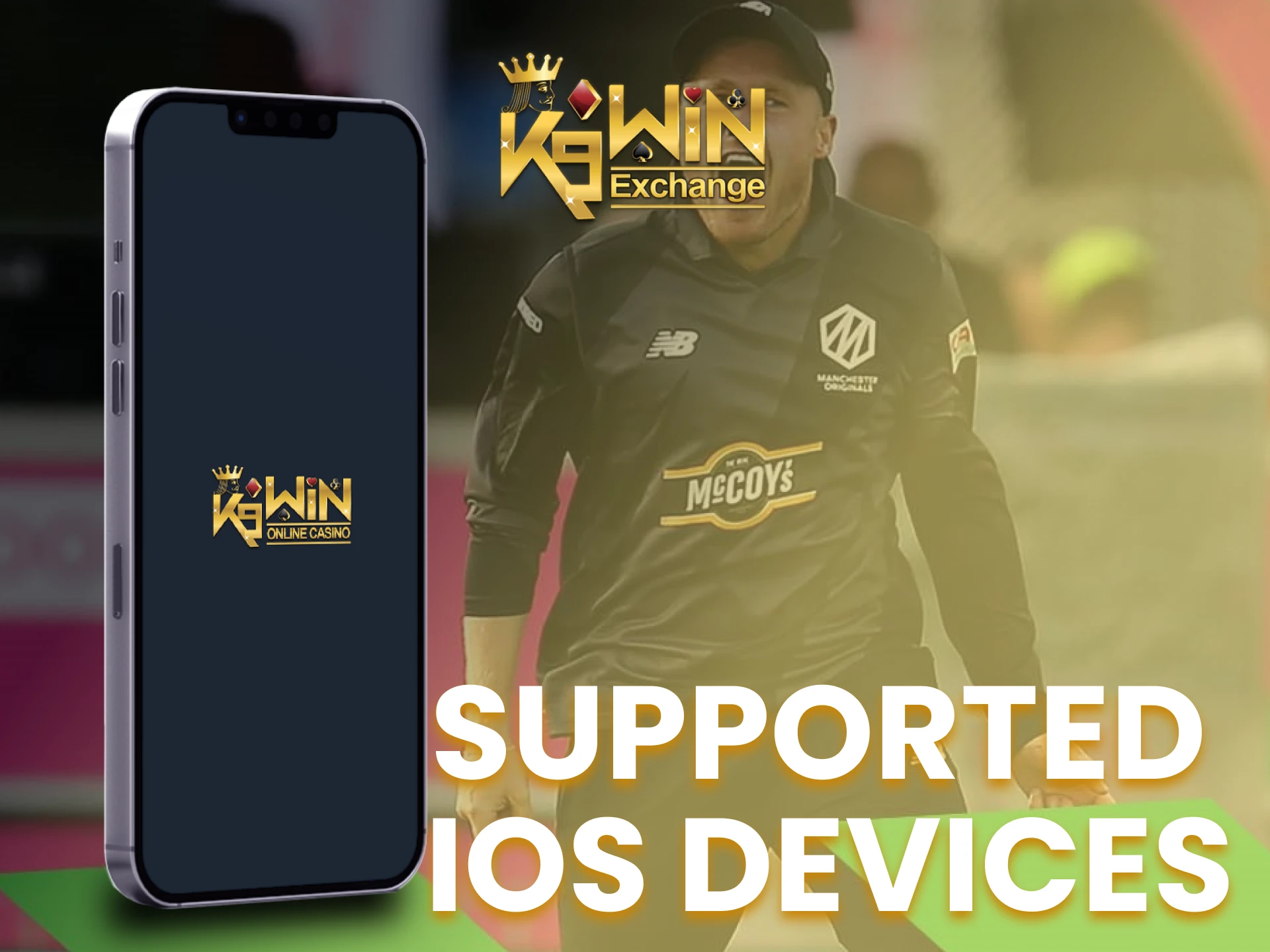 You can install the K9Win iOS app on all of modern Apple devices.