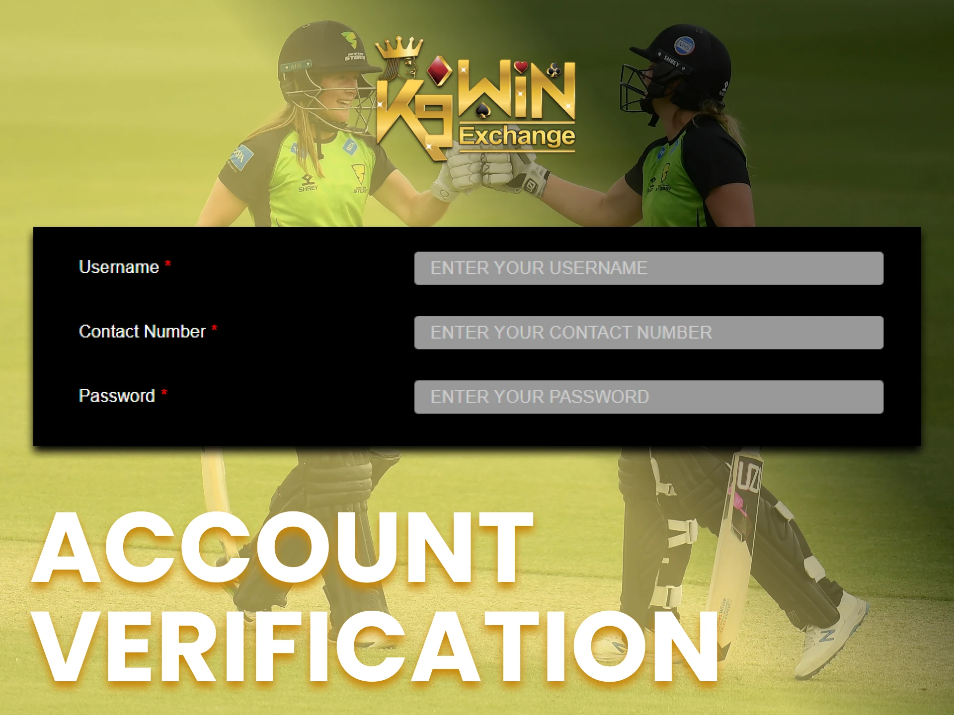 Verify your K9Win account by providing the required data.