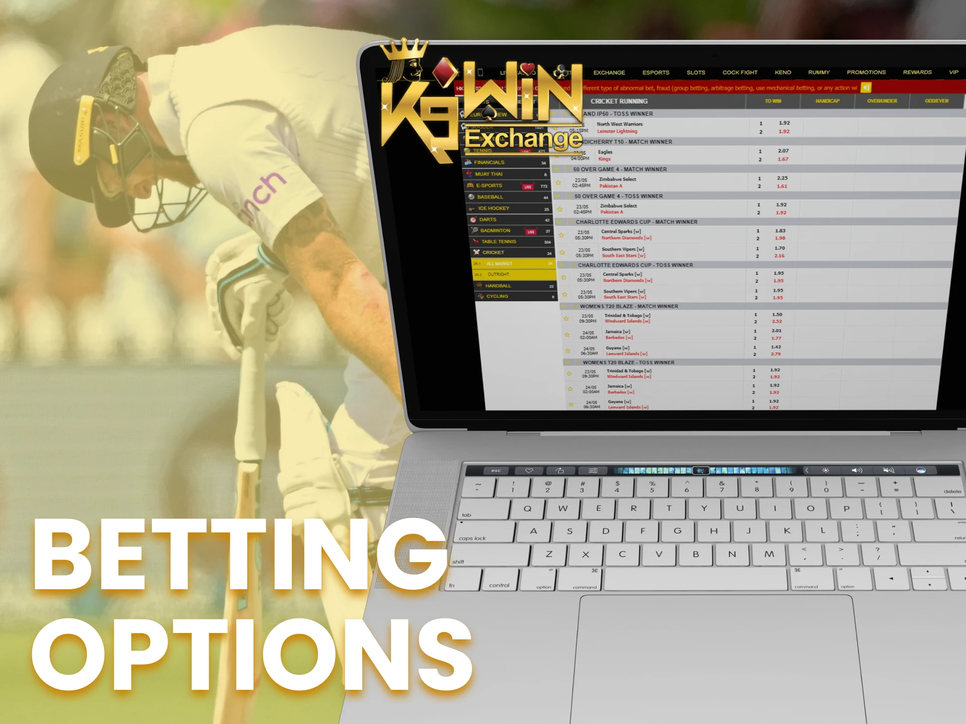 Use different betting options while making a bet on the K9Win sports page.