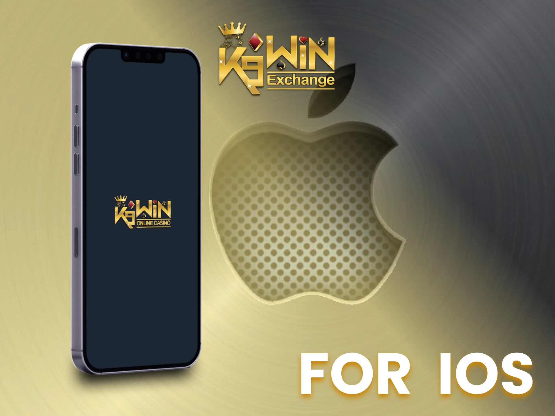 Use the K9Win app on your iOS device.