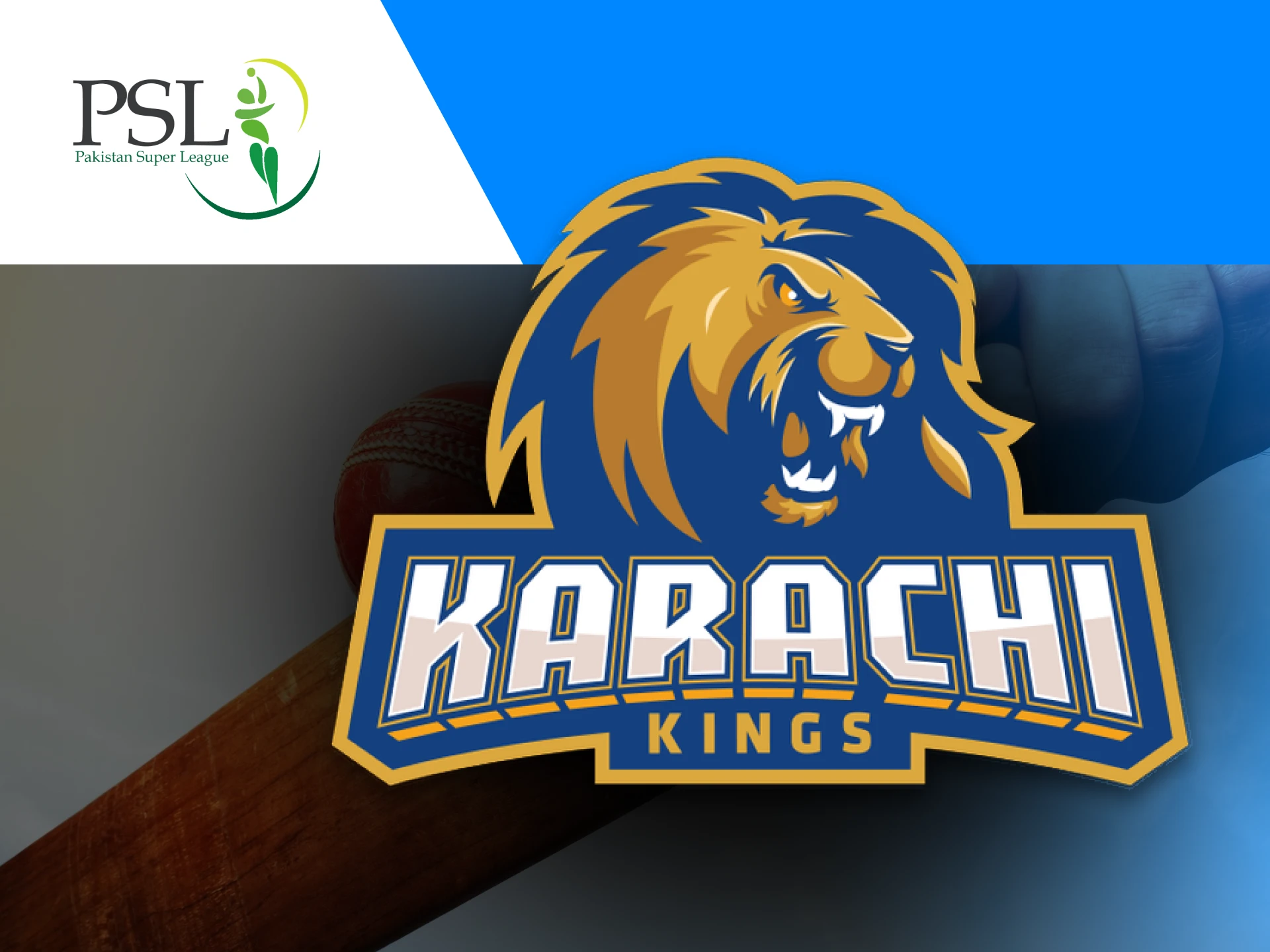 The Karachi Kings is a professional T20 cricket team located in Karachi.