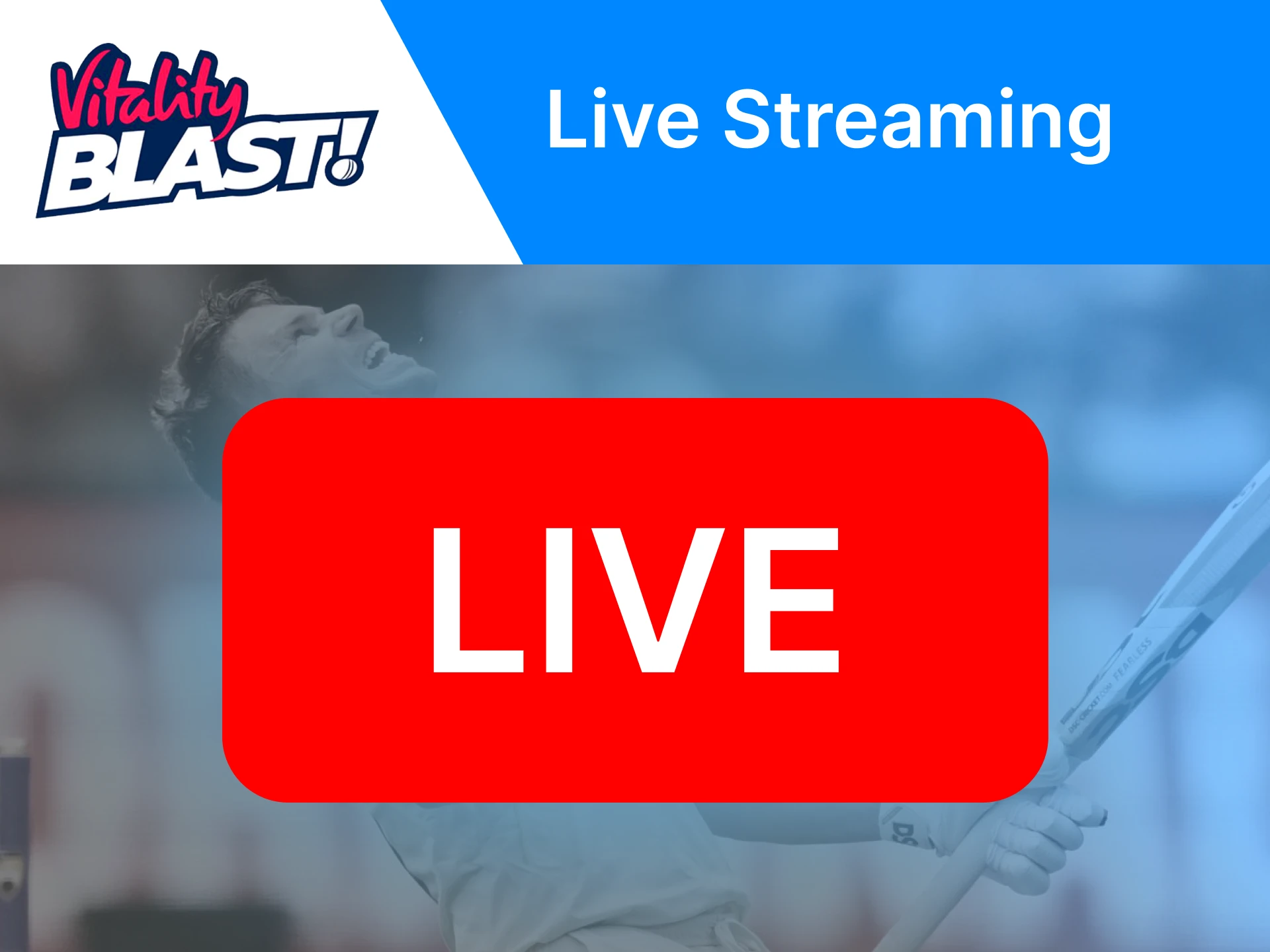 You can watch live streaming of the T20 Blast and make your bets online during a match.