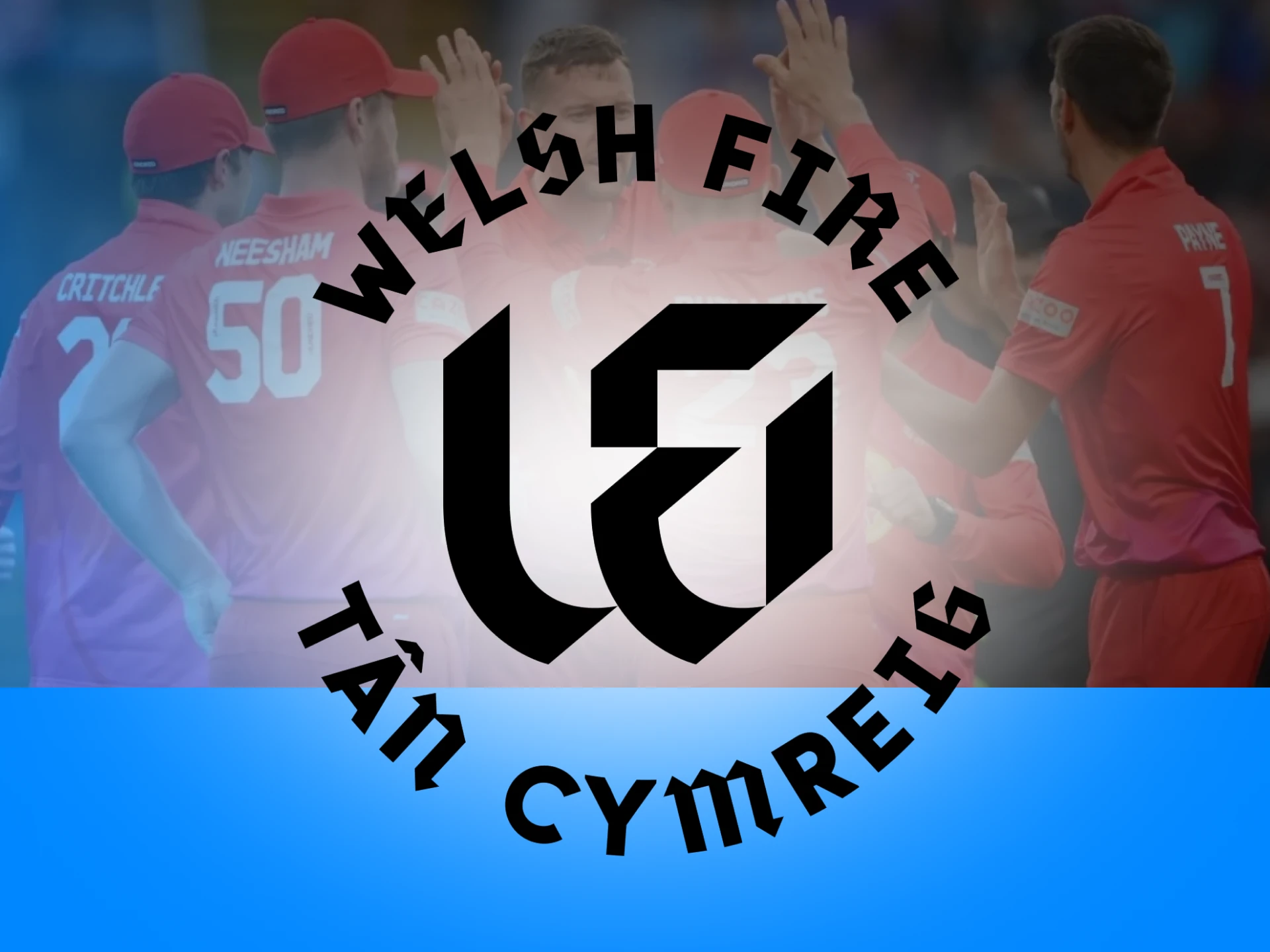 Welsh Fire is a great team to bet on and watch their matches.