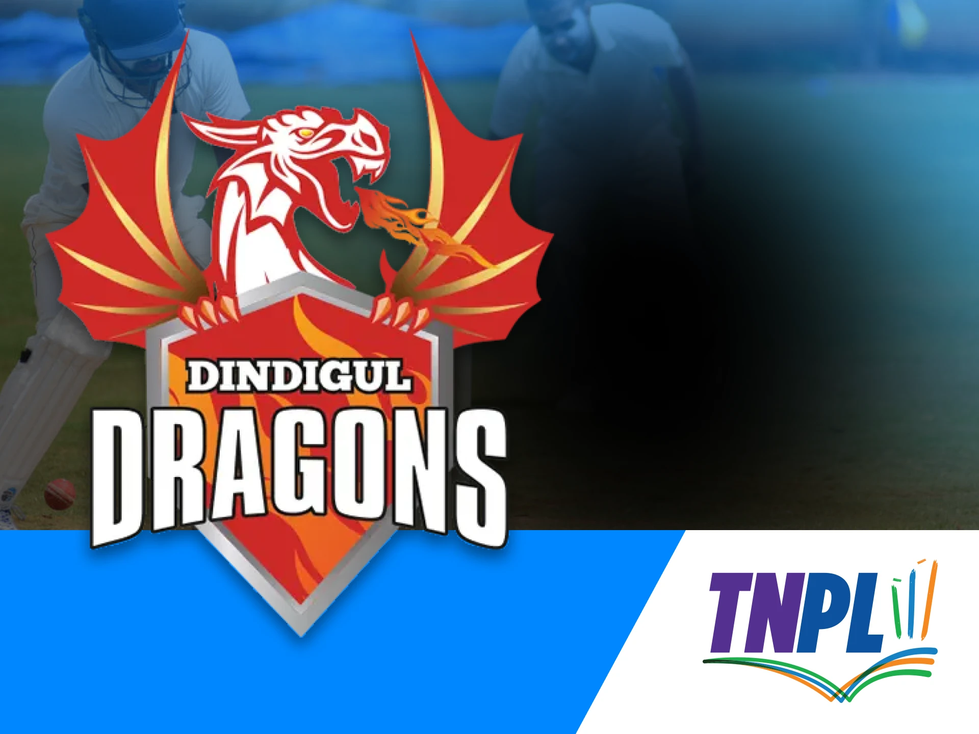 The Dindigul Dragons team represents Dindigul, Tamil Nadu.