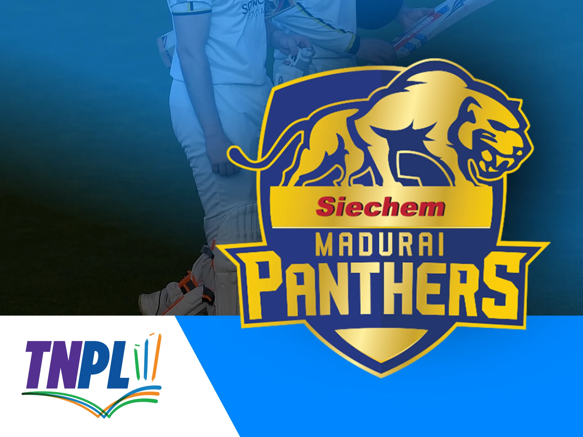 The Madurai Panthers are a well-rounded squad with good skills.