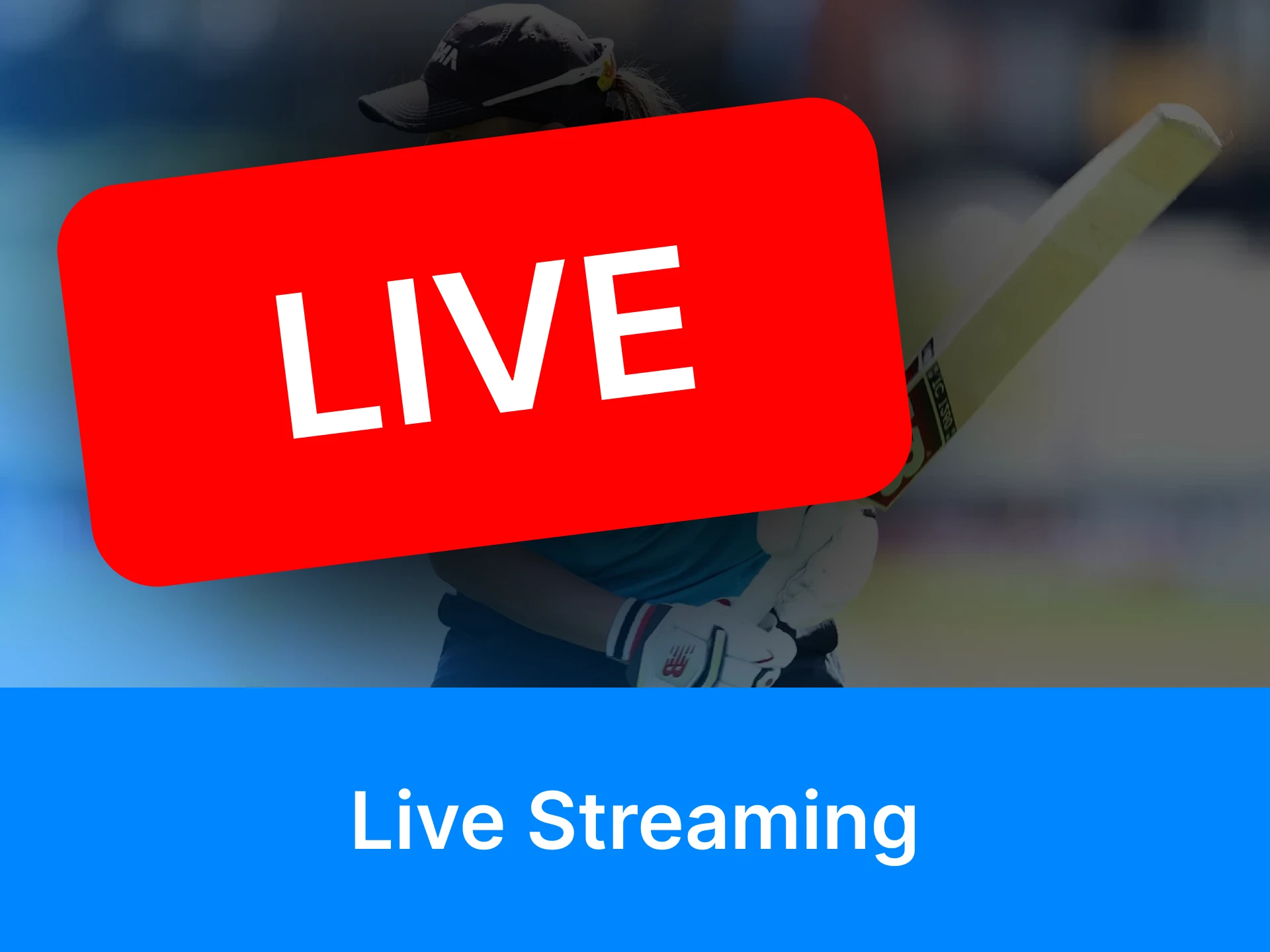 The Women's Ashes series can be followed online.