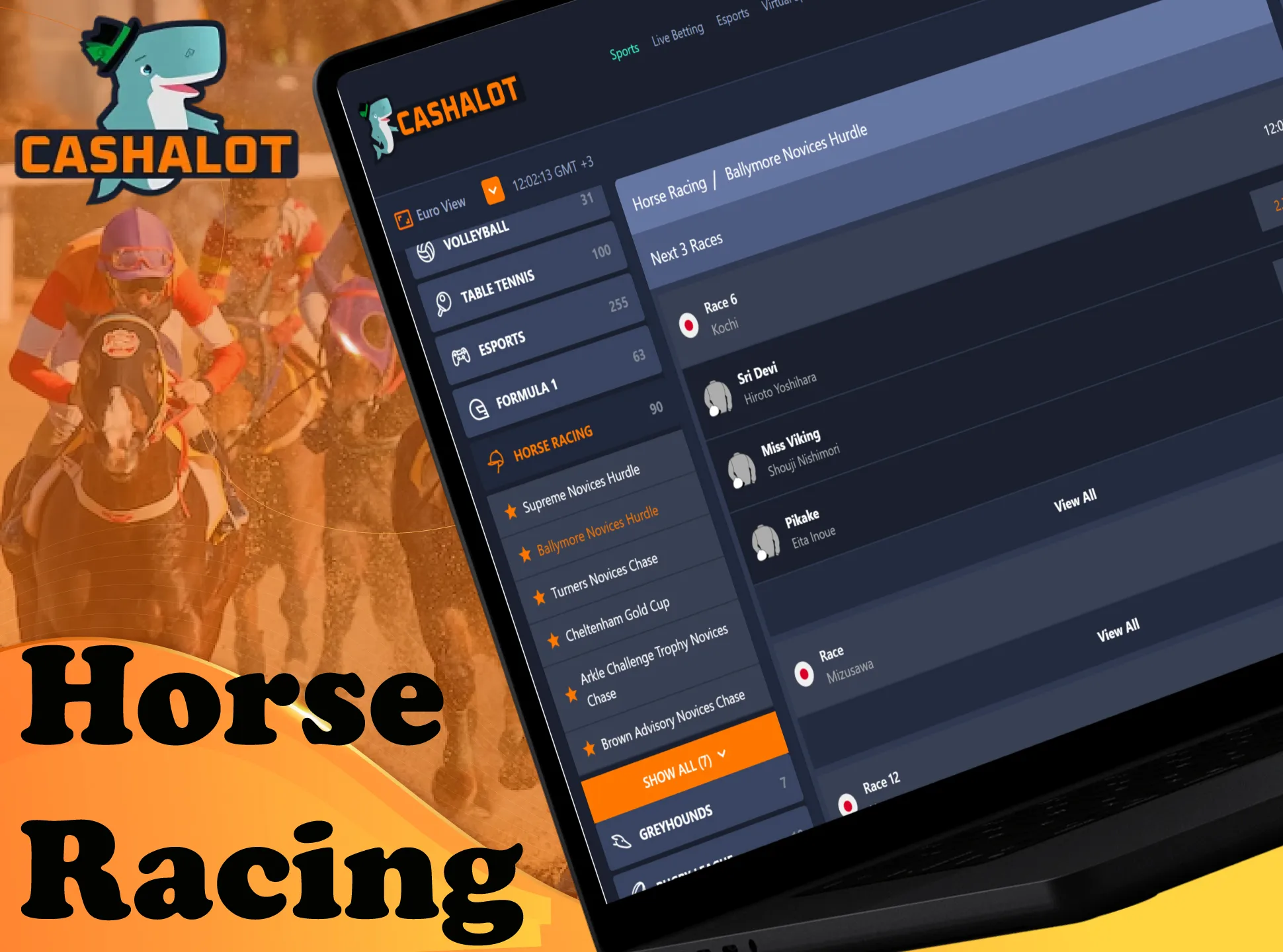 Bet on the fastest horse at Cashalot.