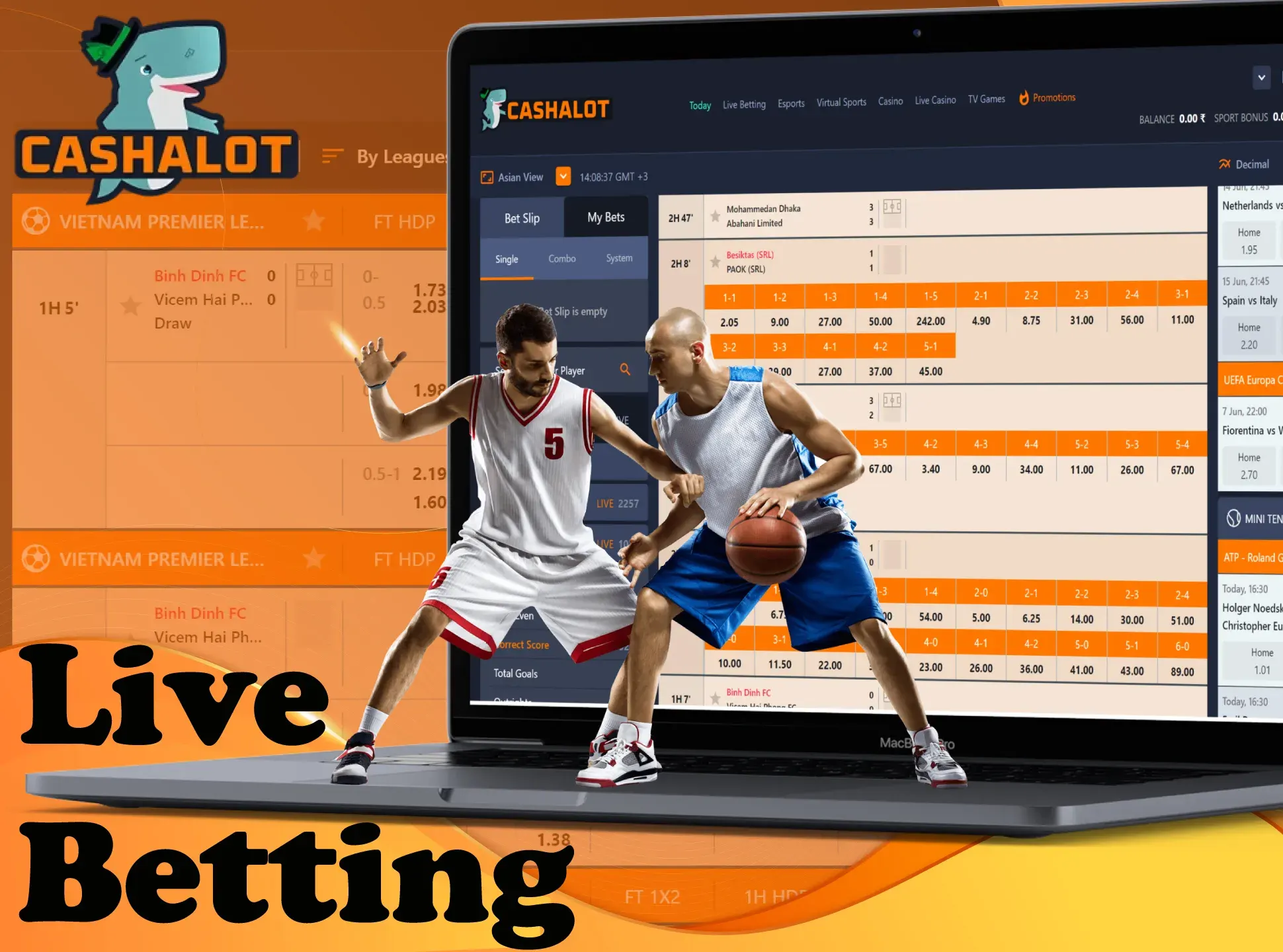 Make bets in a live format at Cashalot.