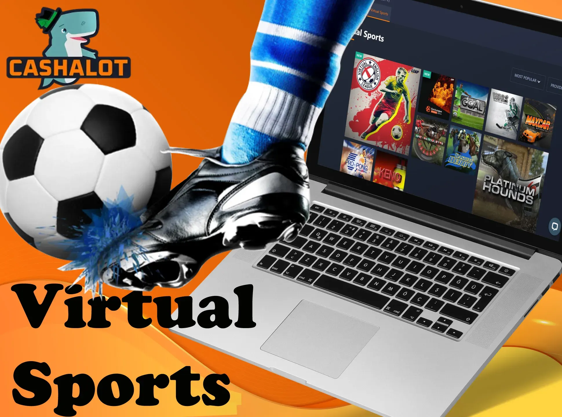 Bet on the most exotic sports at Cashalot.